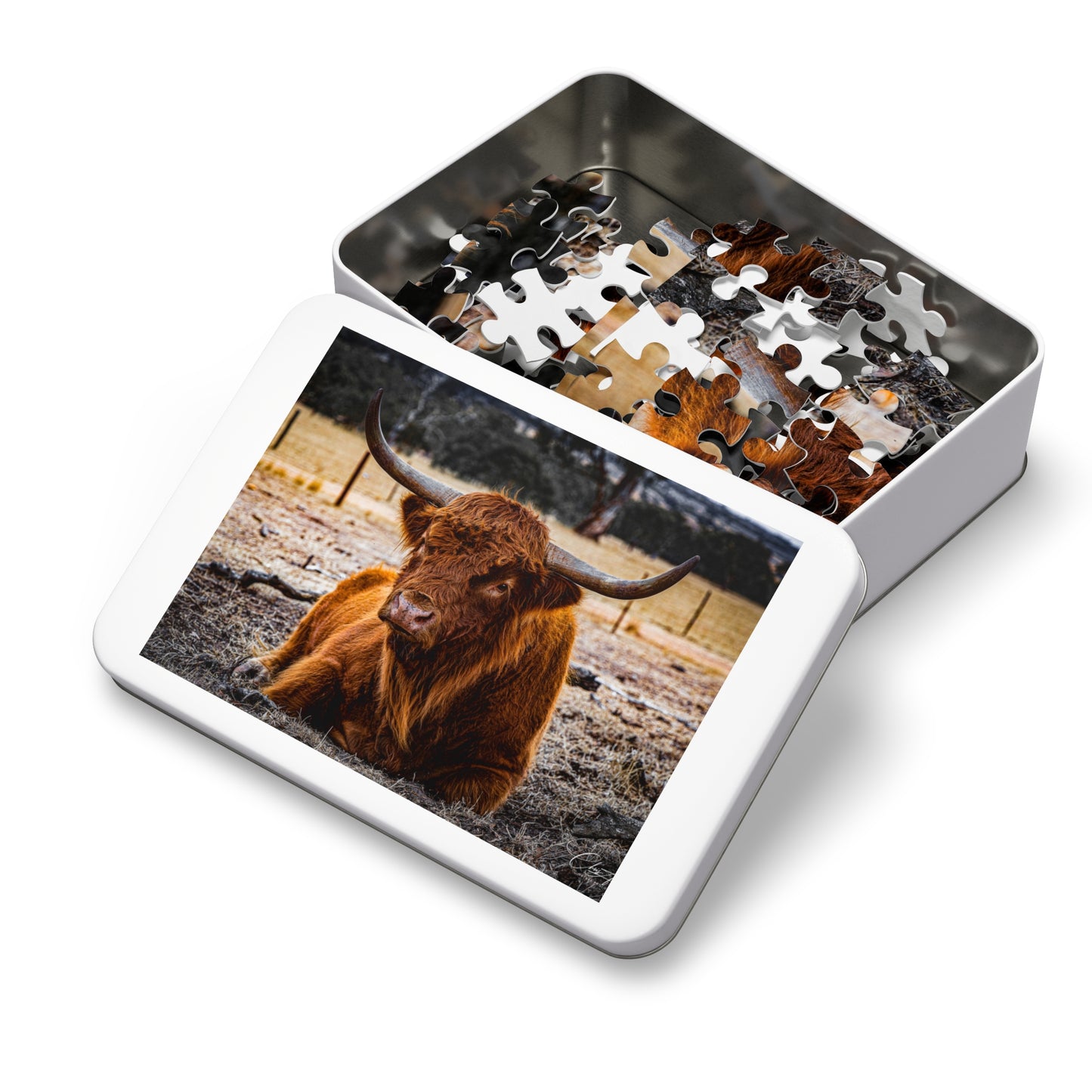 Scottish Highland Cattle Puzzle with Tin