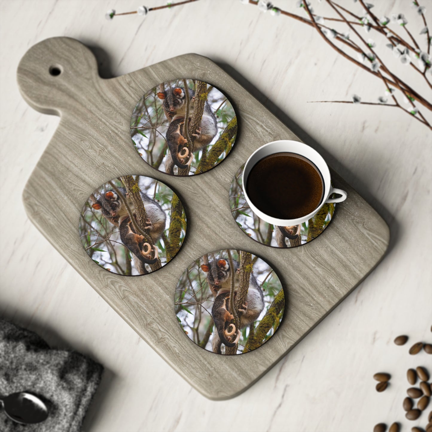 Ring-Tailed Possum Coasters