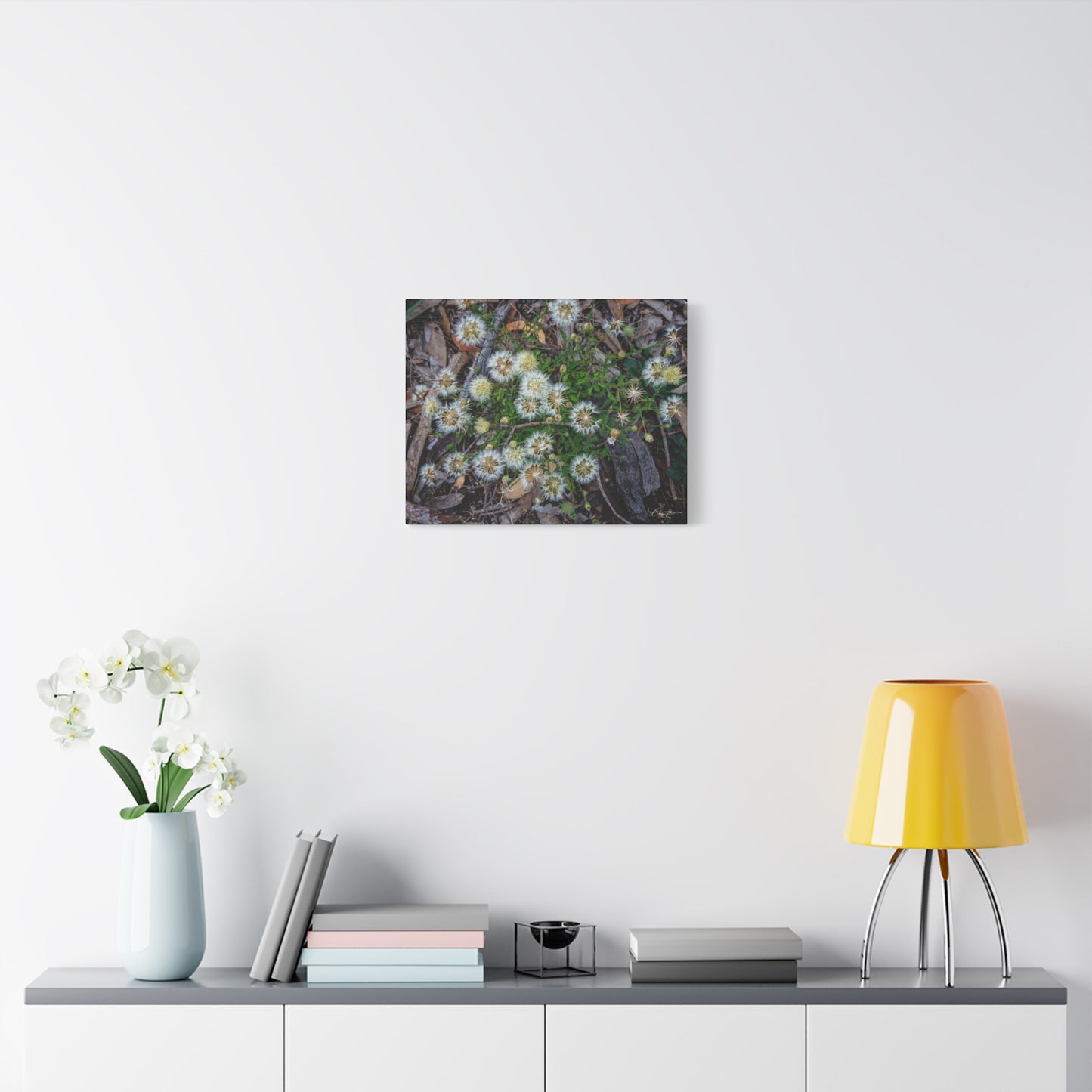Matte Canvas, Stretched, 1.25" - Australian Wildflowers