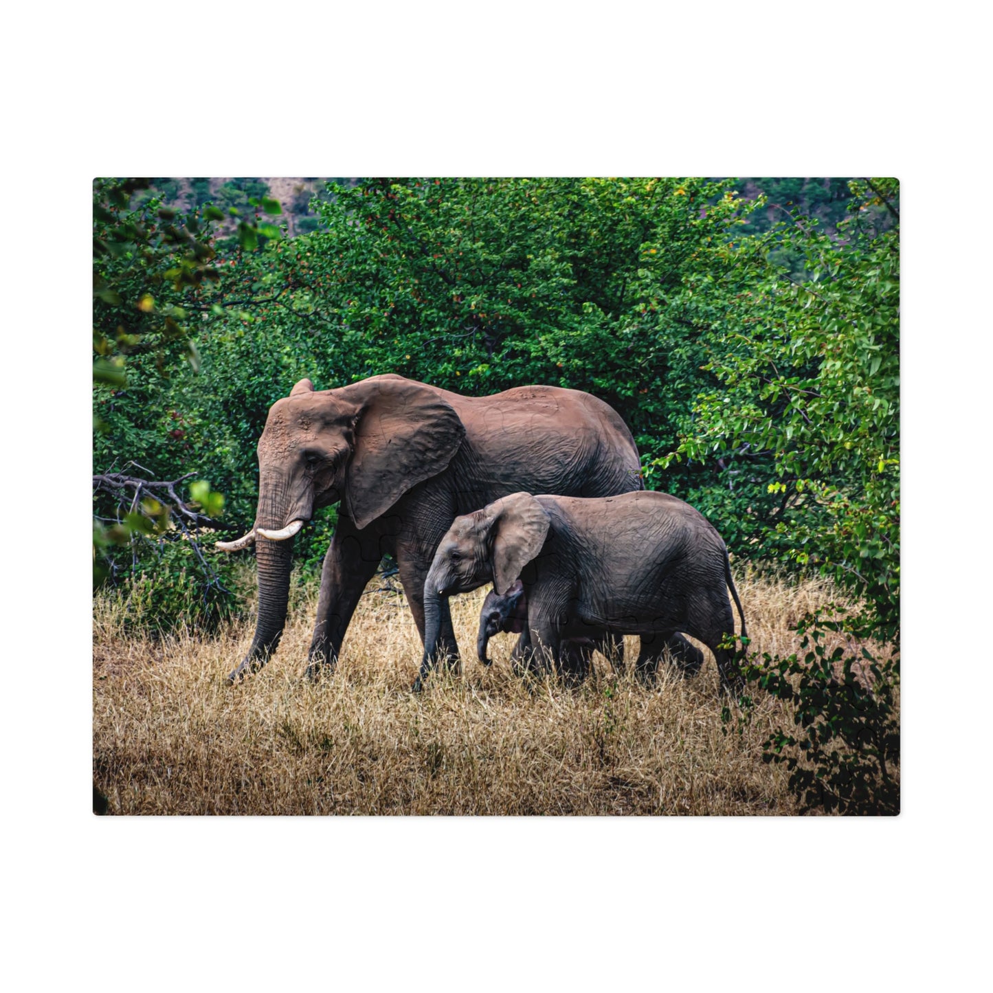 Jigsaw Puzzle (30, 110, 252, 500, 1000, 2000 Piece) - Elephant Family 10" × 8" (110 pcs)
