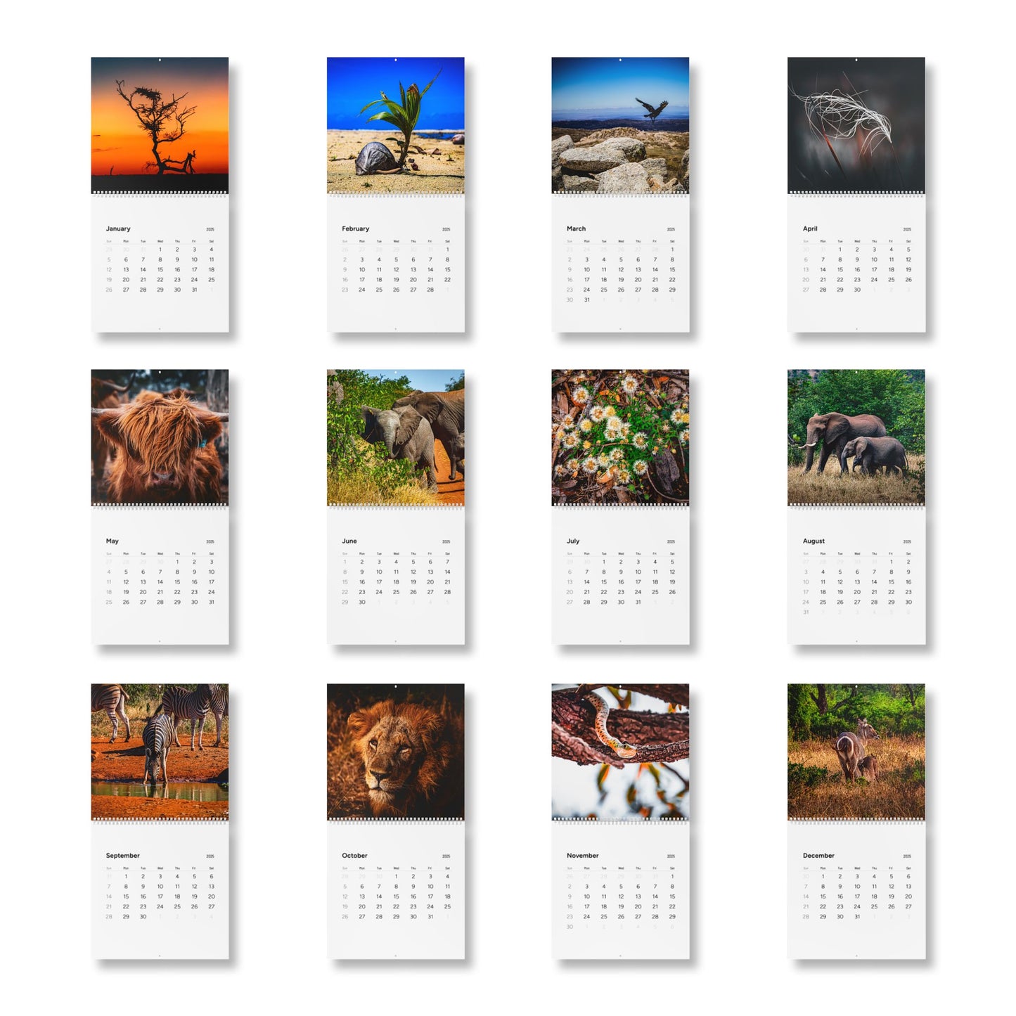 2025 Nature Wildlife Wall Calendar