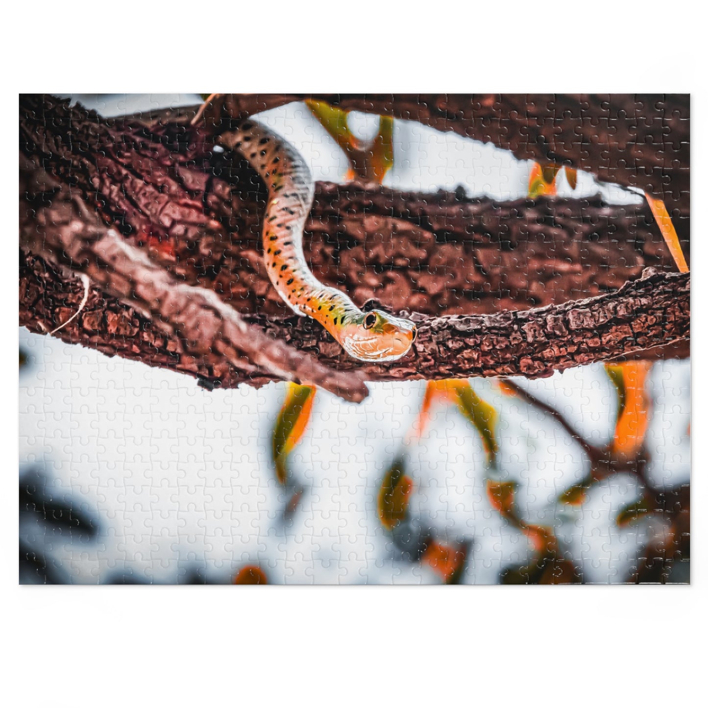 Spotted Bush Snake Puzzle with Tin 21" × 15.5" (500 pcs)