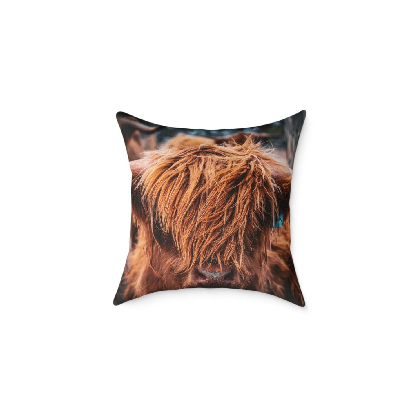 Highland Cattle Pillow 18" × 18"