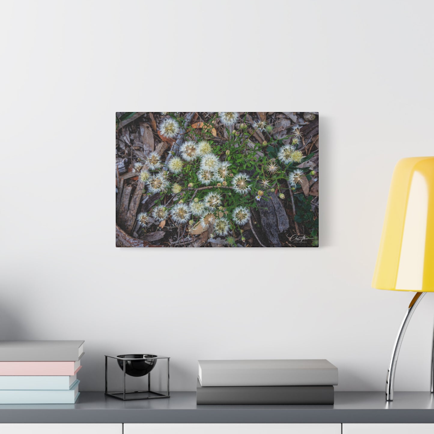 Matte Canvas, Stretched, 1.25" - Australian Wildflowers