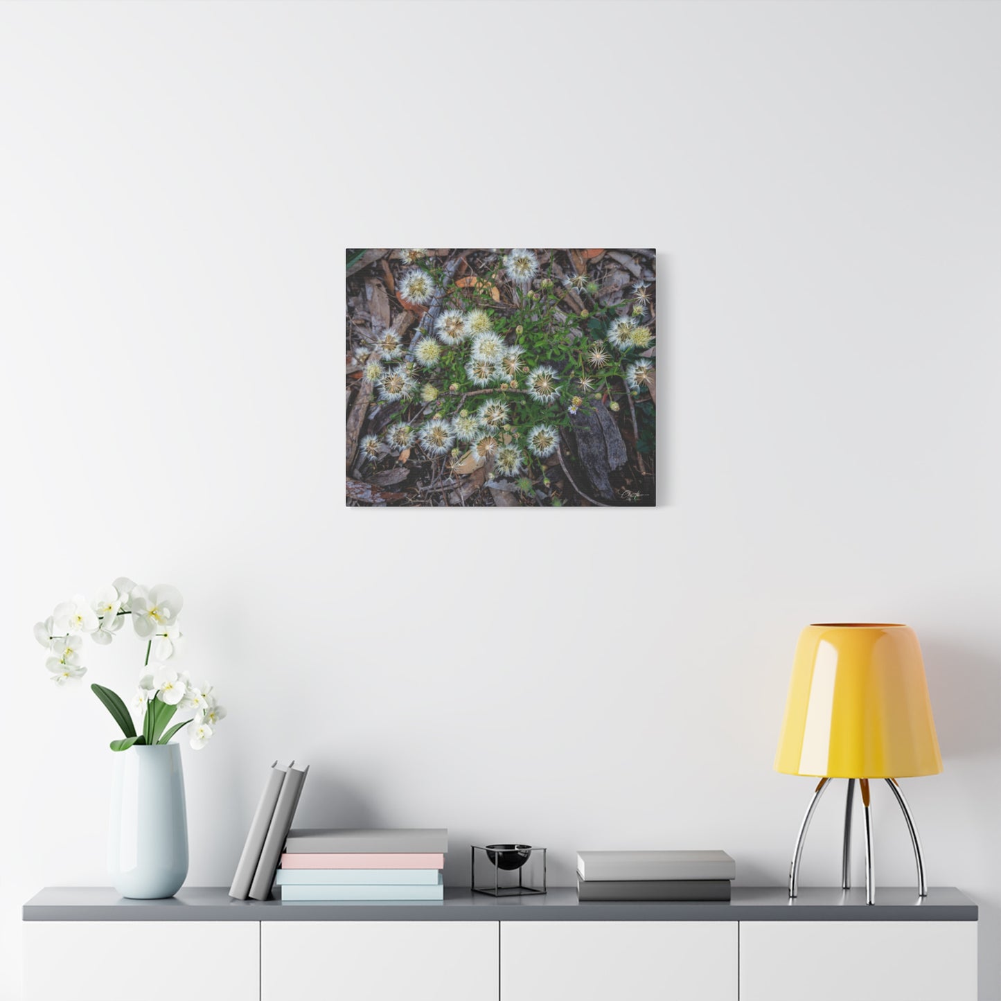 Matte Canvas, Stretched, 1.25" - Australian Wildflowers