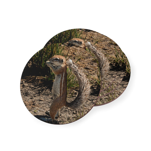 Ground Squirrel Coasters Round 3.7" x 3.7" 4pcs