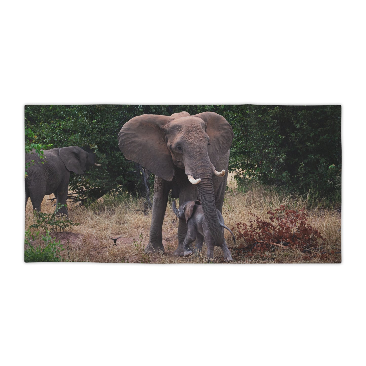 African Elephant Beach Towels 30" × 60"