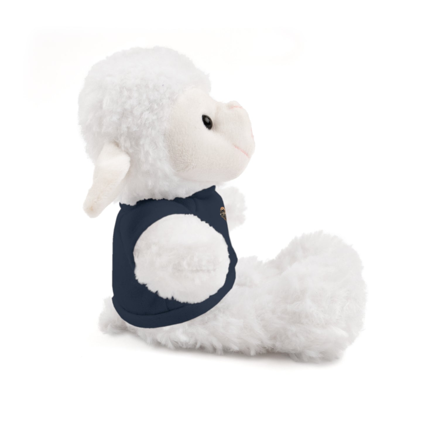 Teddy Bear with Tee