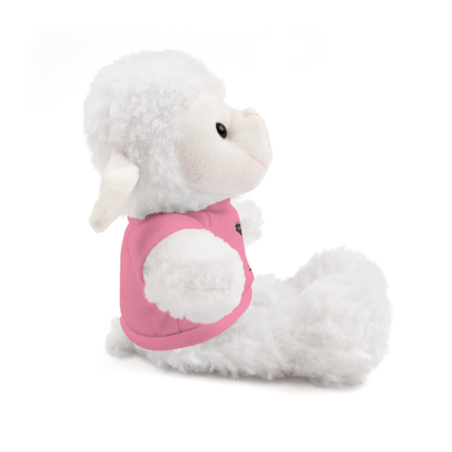 Teddy Bear with Tee