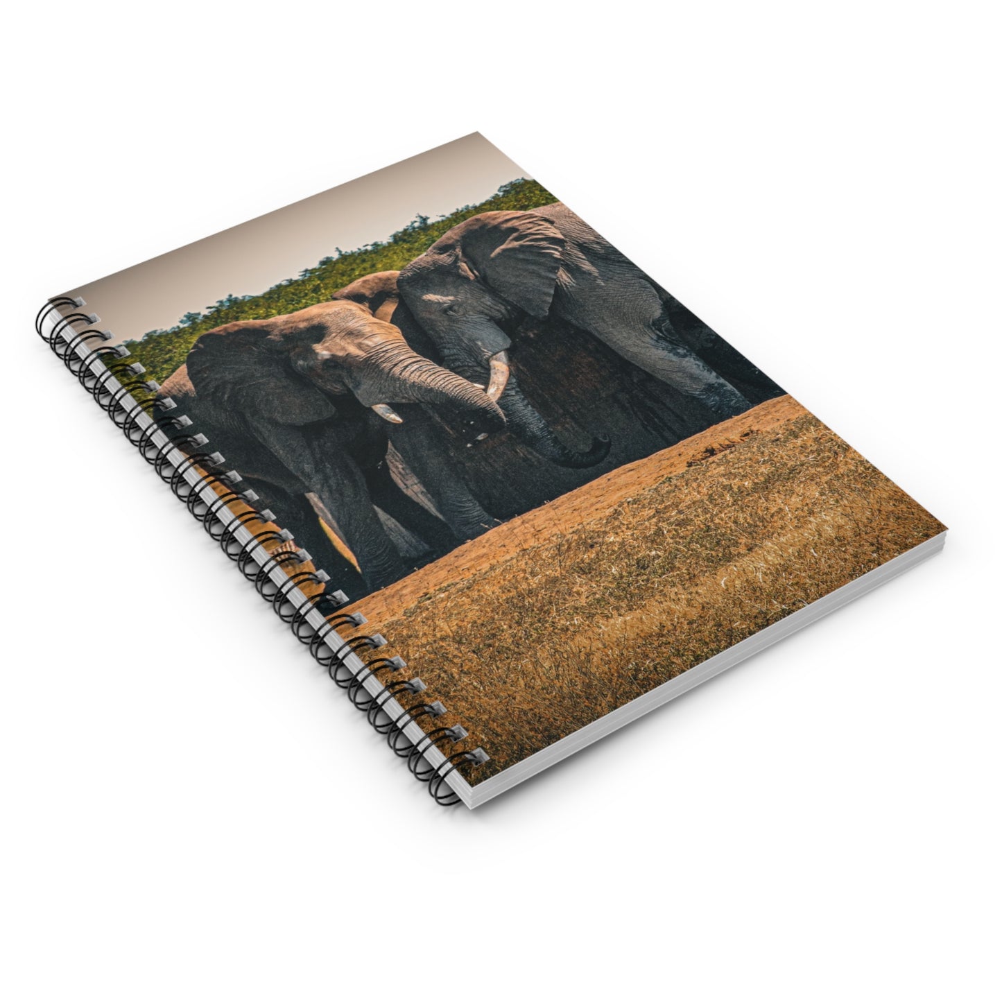 Spiral Notebook - Ruled Line - Elephant Friends