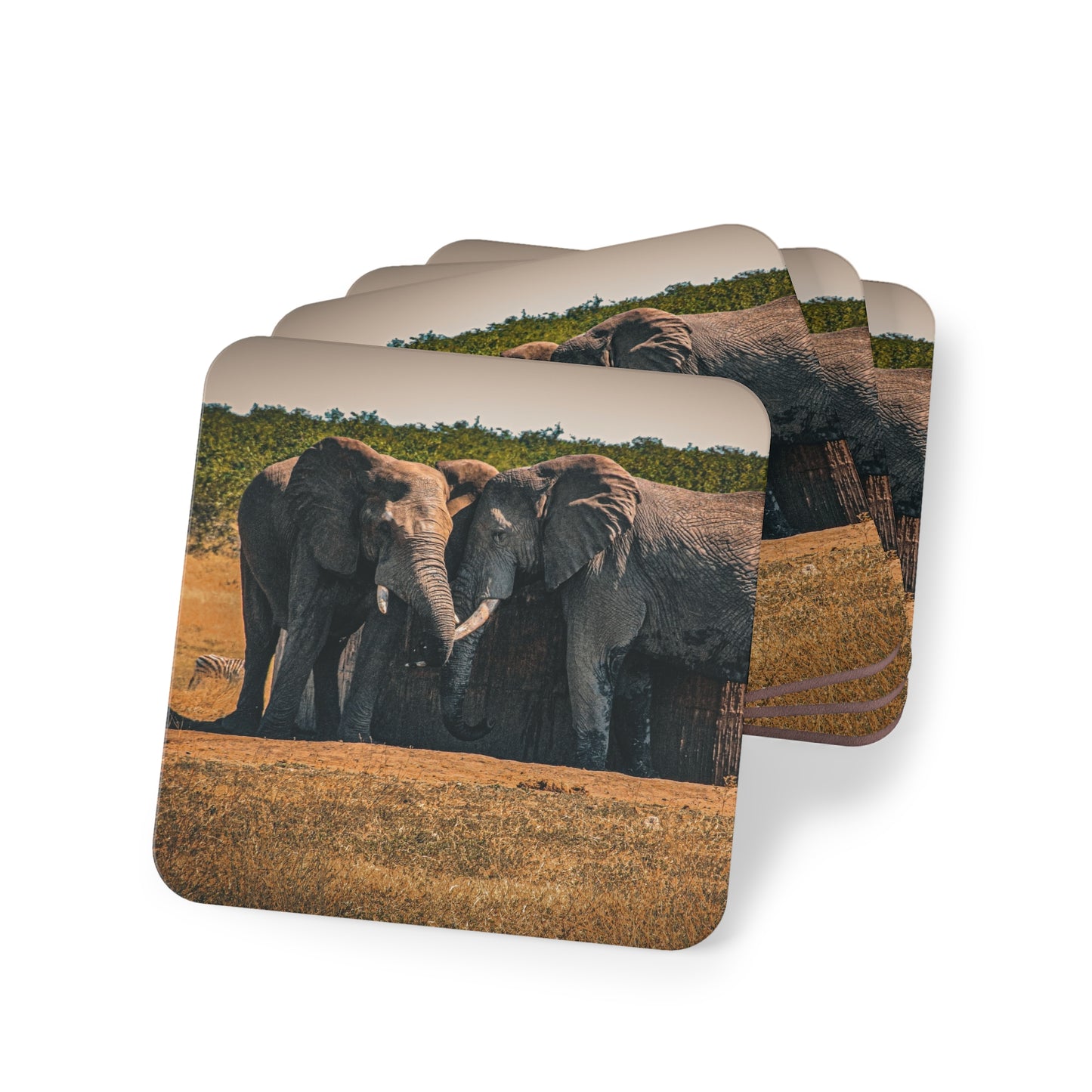 Friendly Elephants Coaster