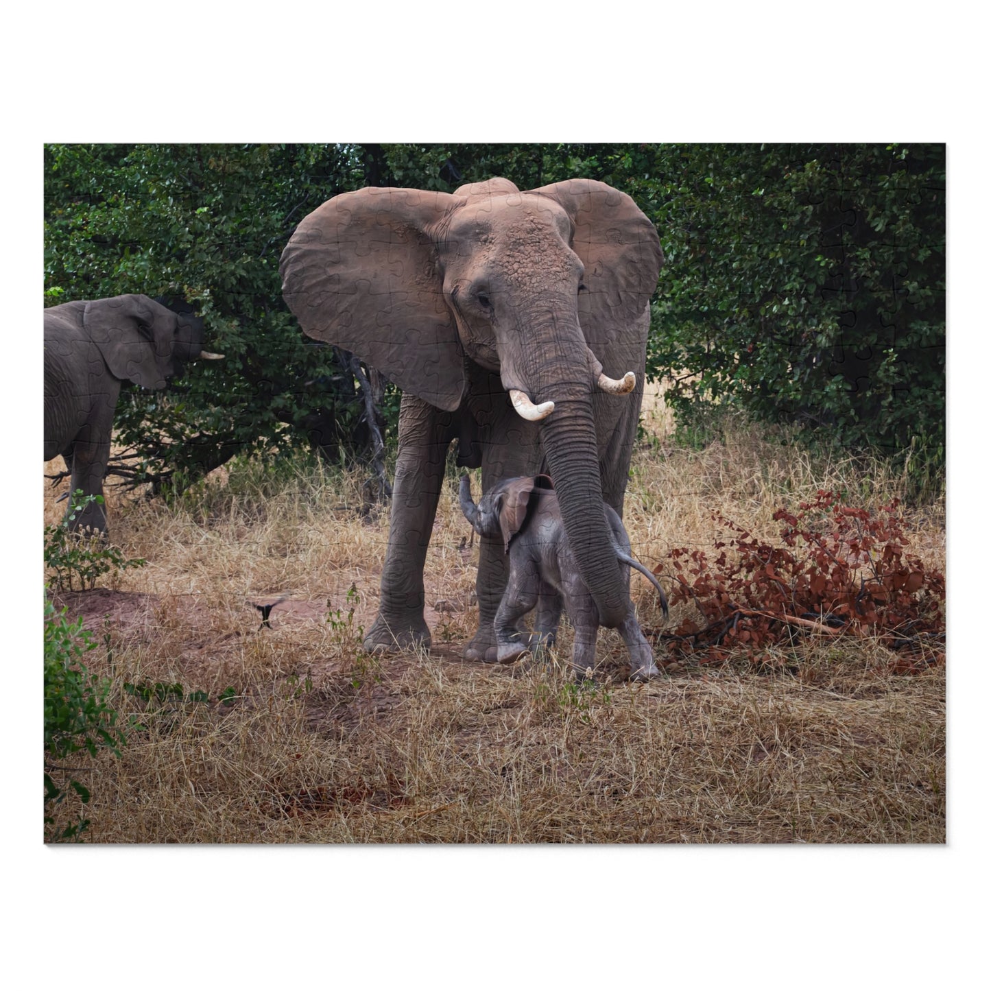 Jigsaw Puzzle (30, 110, 252, 500, 1000 Piece) - Elephant and Calf 14" × 11" (252 pcs)