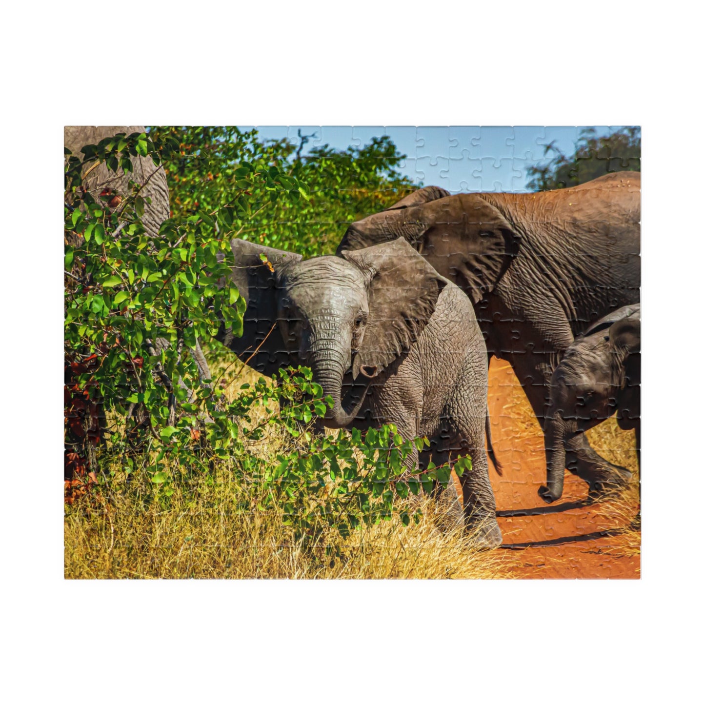Young Elephant Jigsaw Puzzle