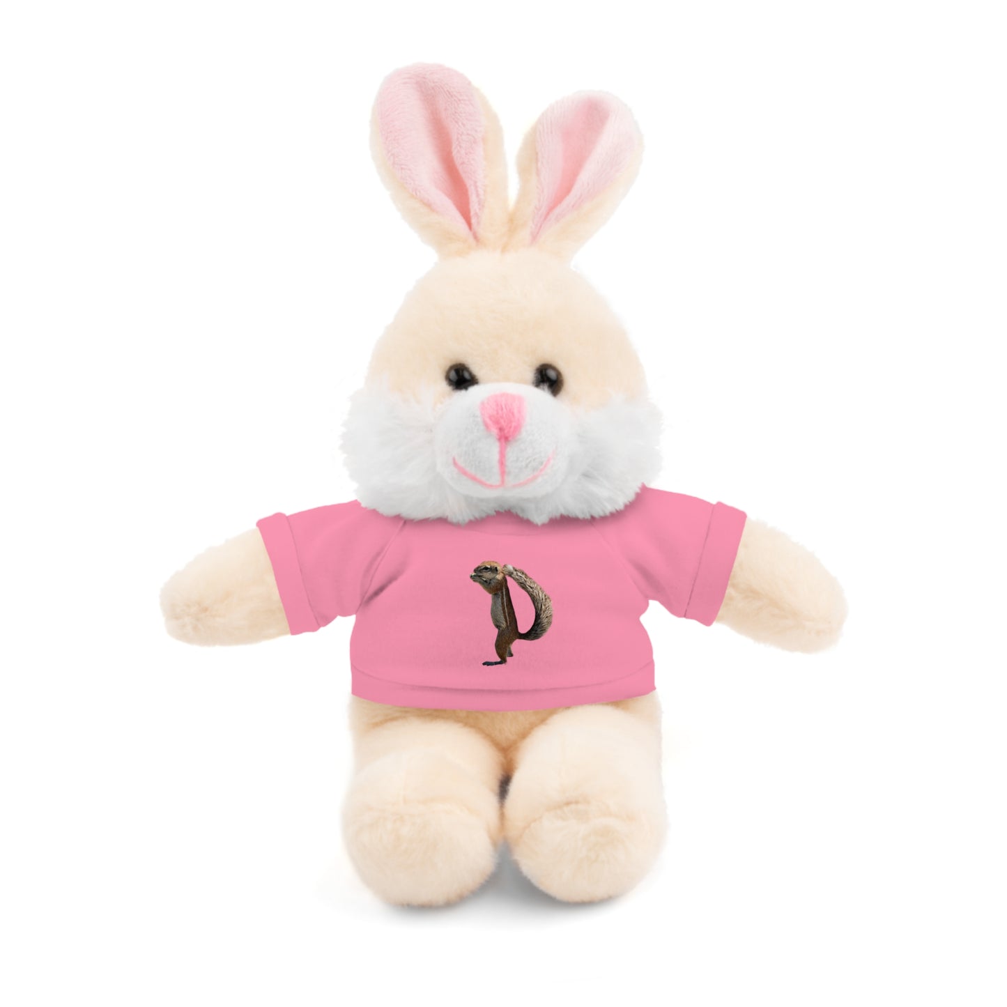 Teddy Bear with Tee