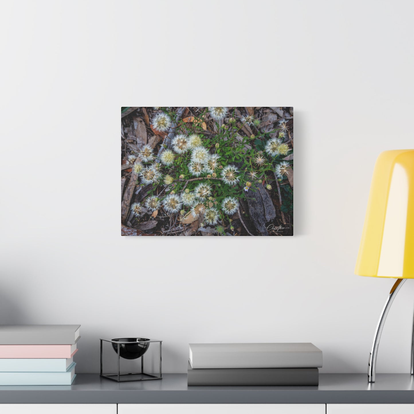 Matte Canvas, Stretched, 1.25" - Australian Wildflowers