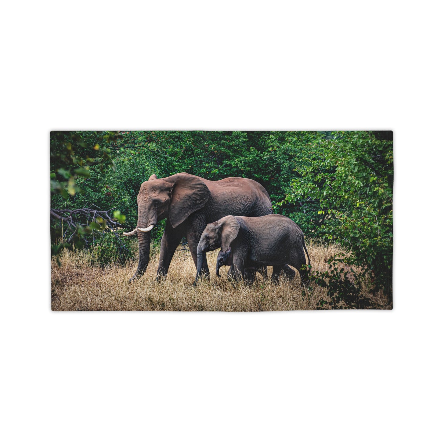 African Elephant Beach Towels 24" x 44"