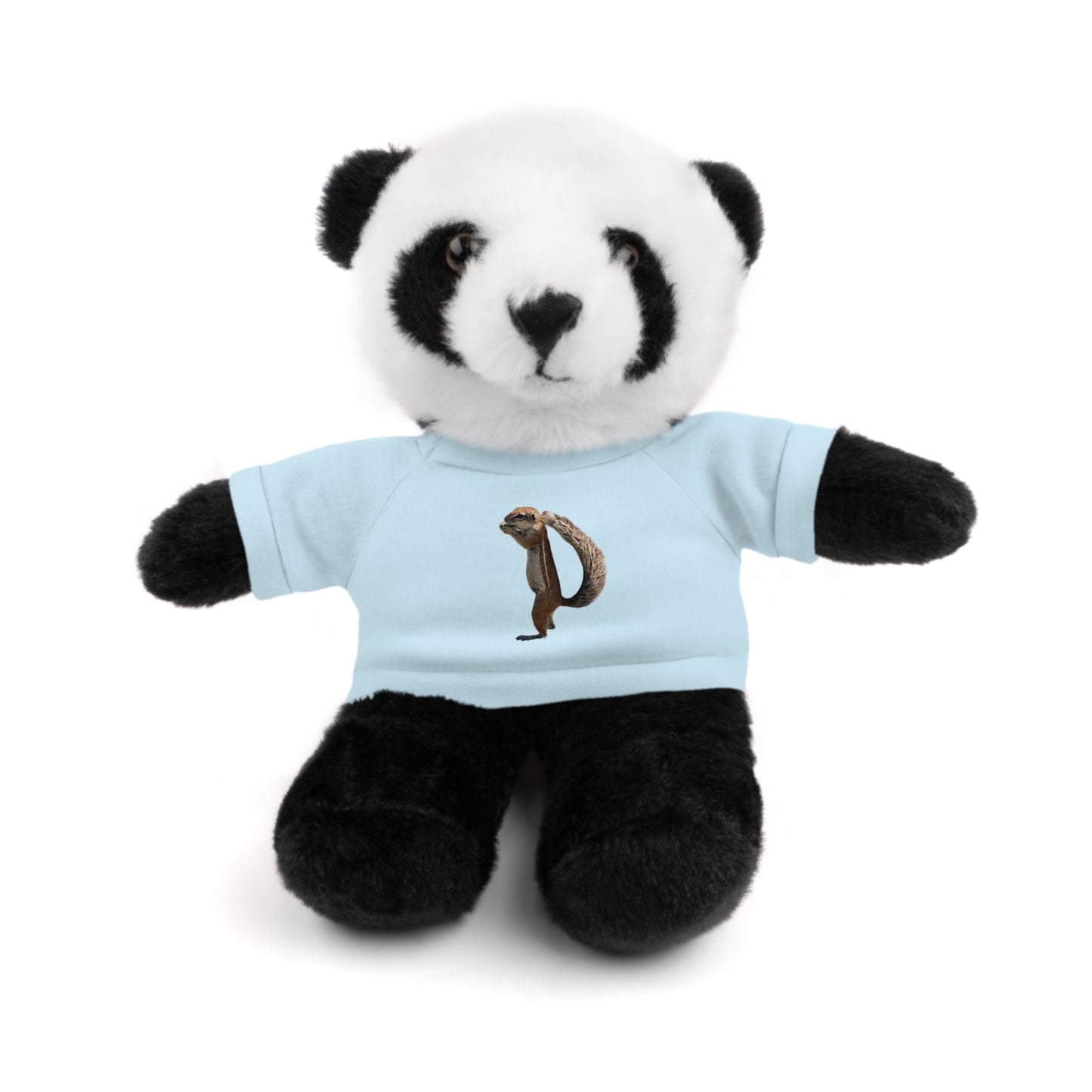 Teddy Bear with Tee