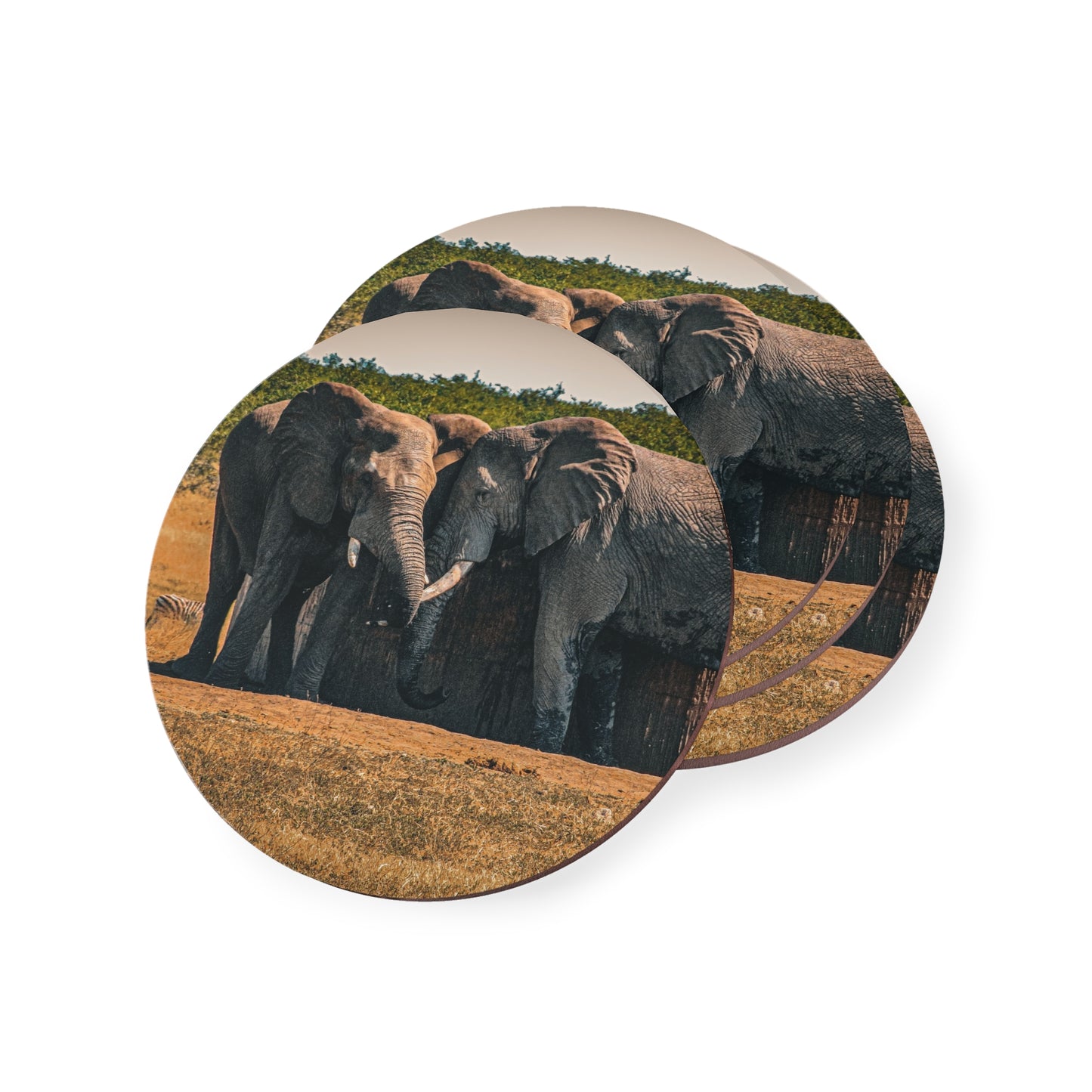 Friendly Elephants Coaster