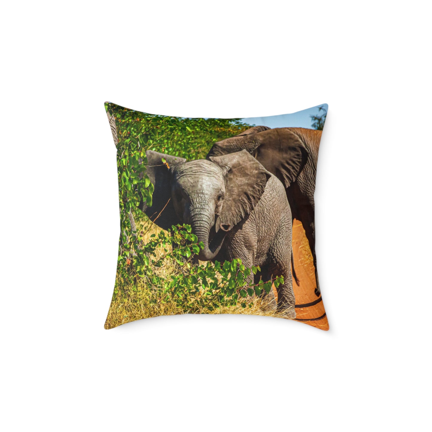 Young Elephant Pillow 20" × 20"
