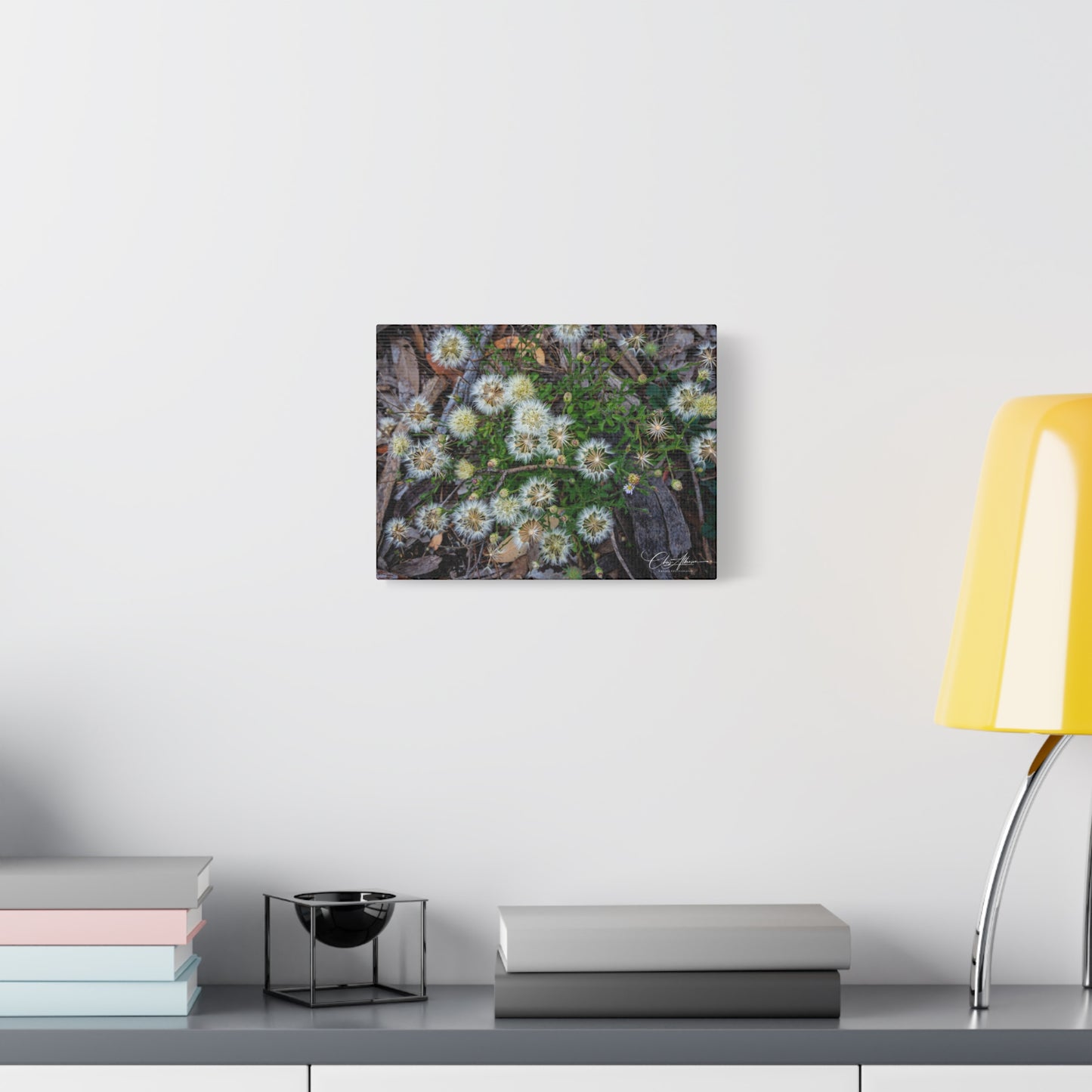 Matte Canvas, Stretched, 1.25" - Australian Wildflowers