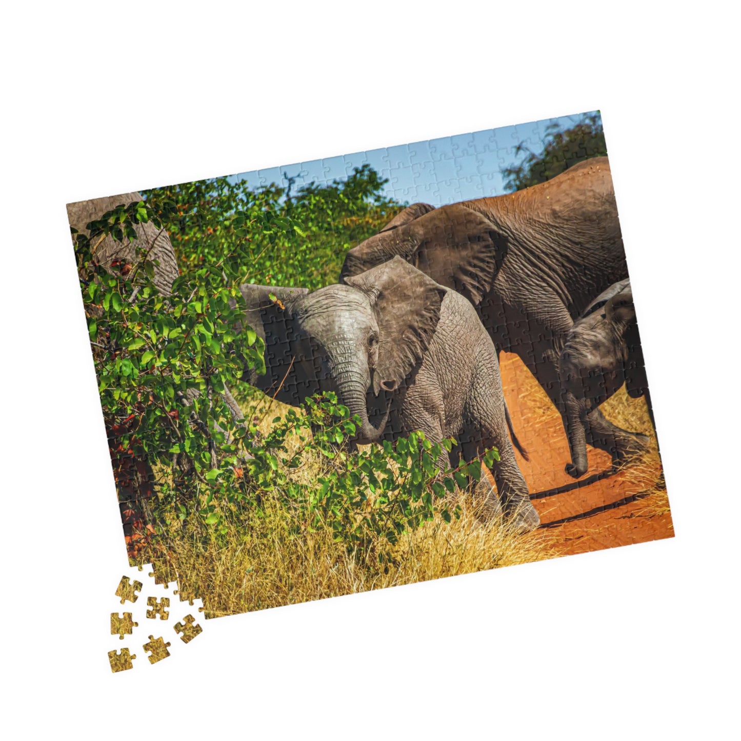Young Elephant Jigsaw Puzzle