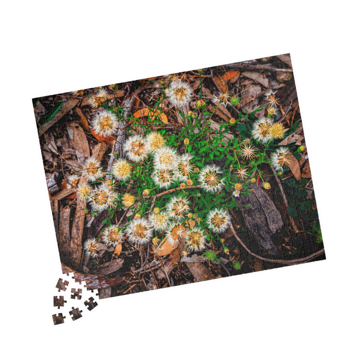 Australian Wildflower Jigsaw Puzzle