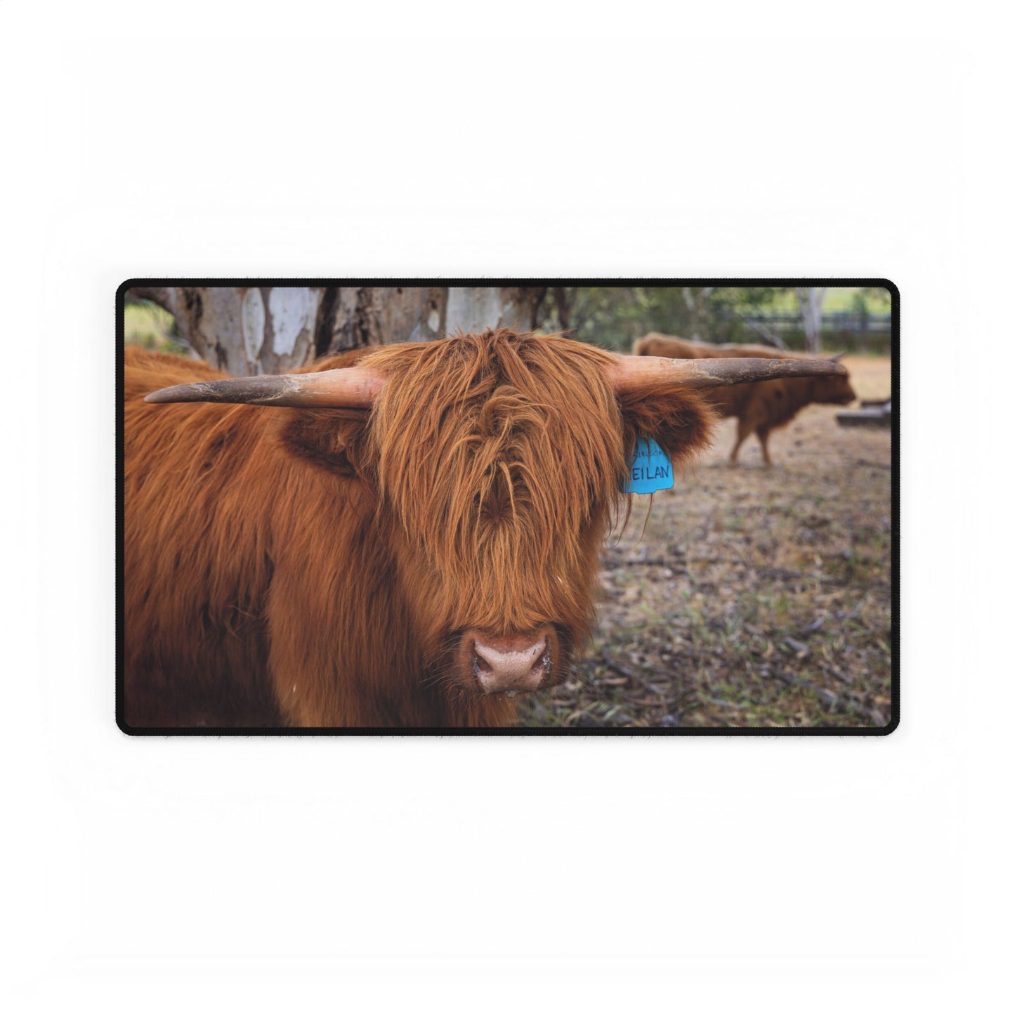Highland Cattle Desk Mats 23.6" × 13.8"