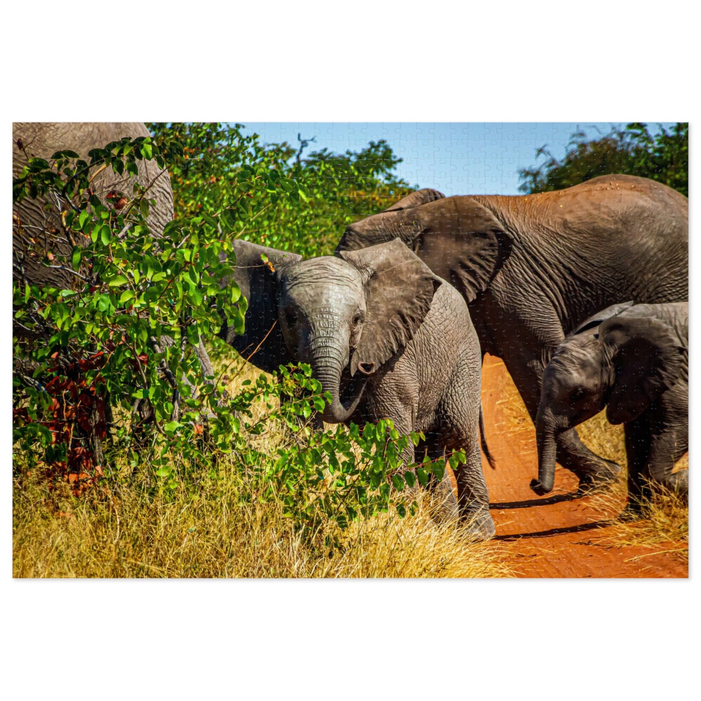 Young Elephant Jigsaw Puzzle with Tin