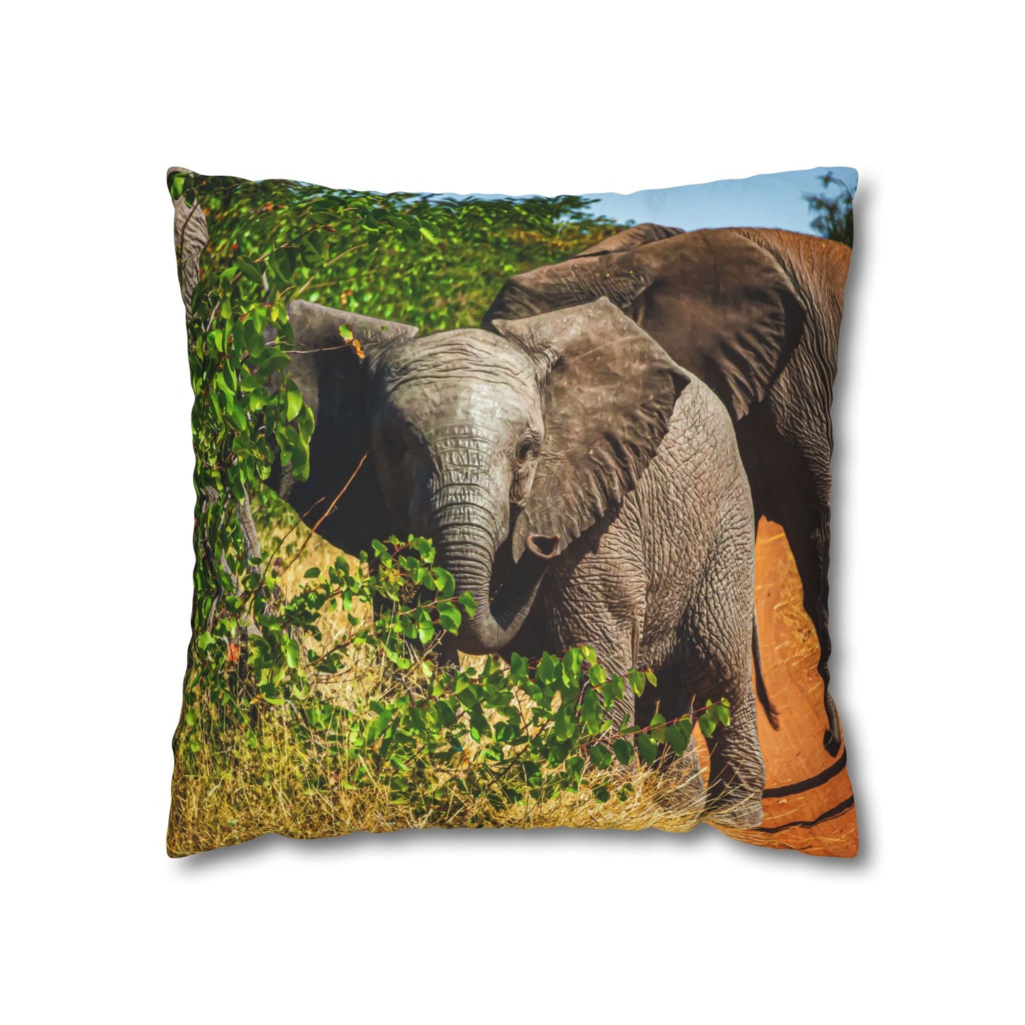 Poly Canvas Pillowcase - Young Elephant