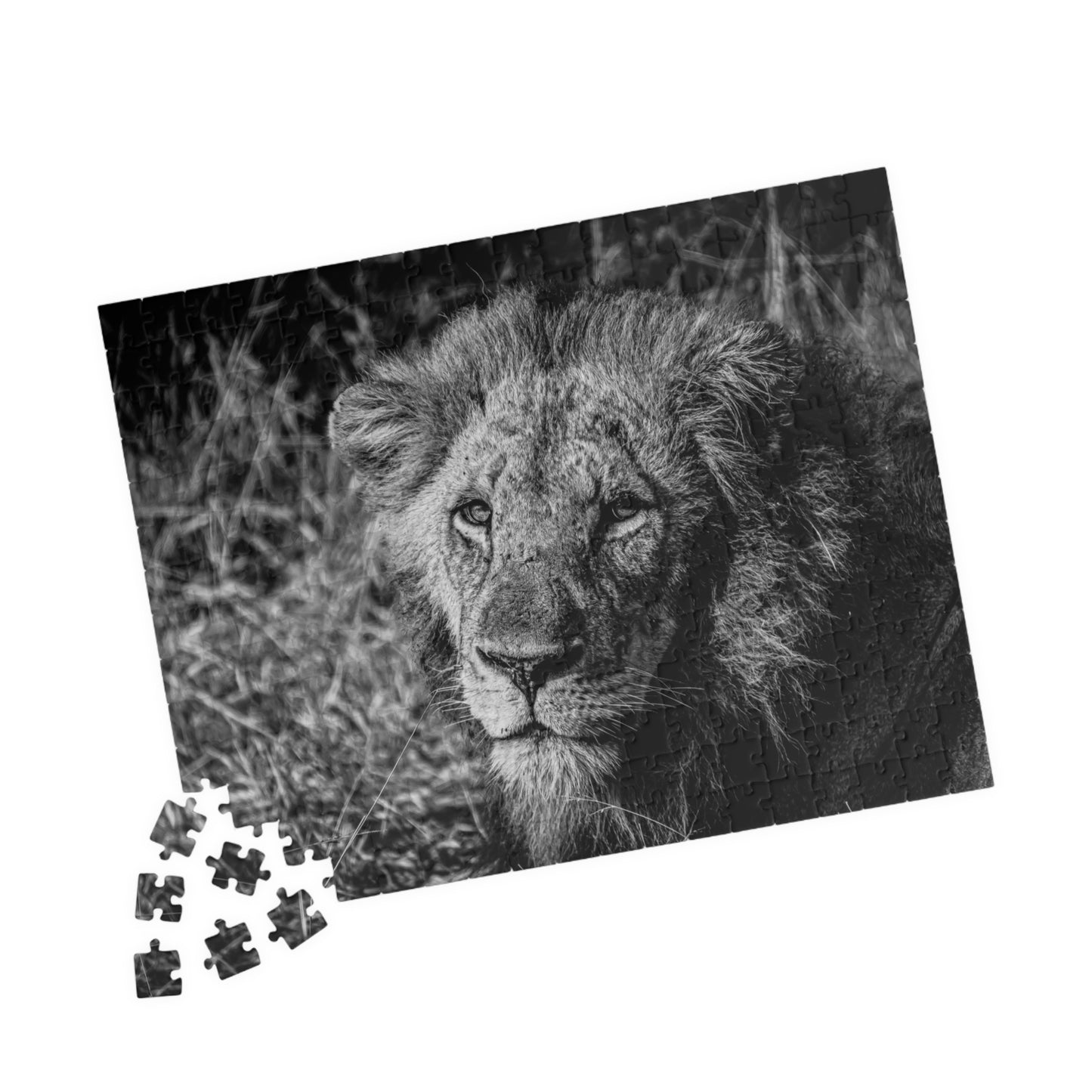 Majestic Old Lion Jigsaw Puzzle B&W