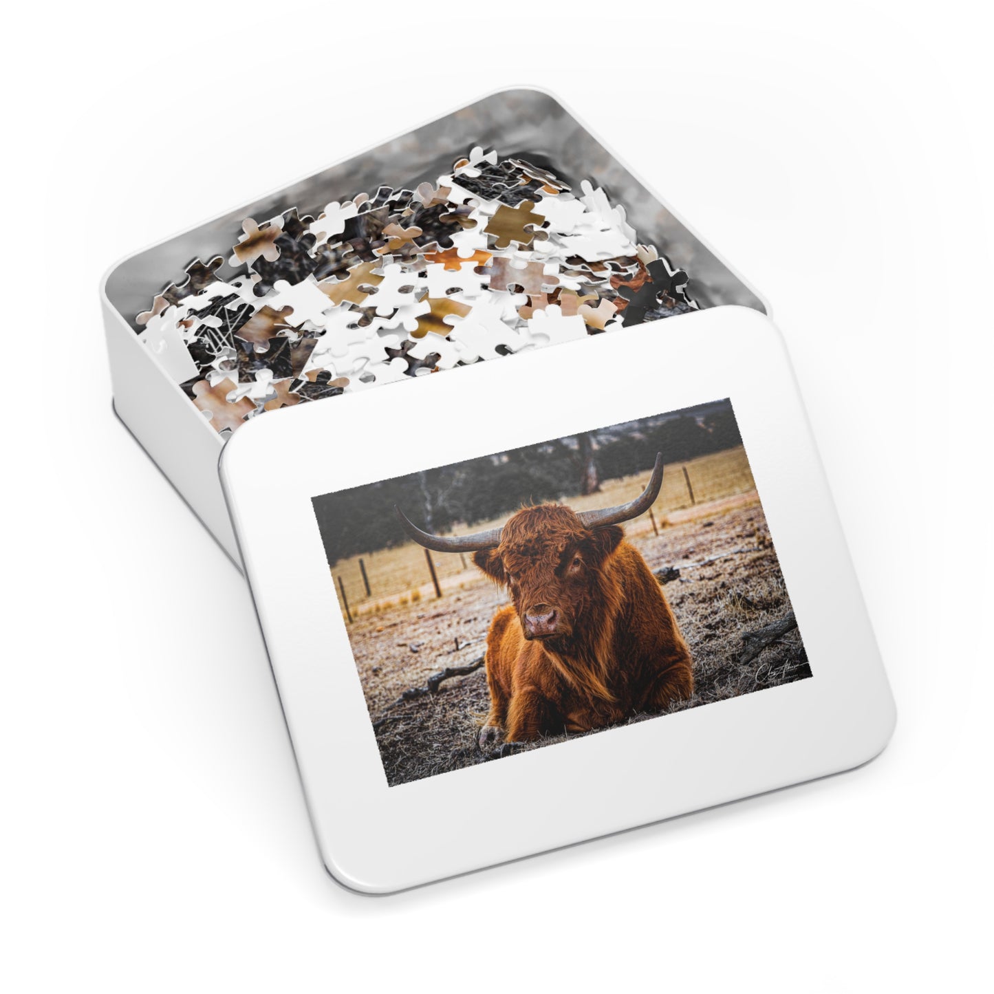 Scottish Highland Cattle Puzzle with Tin 30" × 20" (1000 pcs)