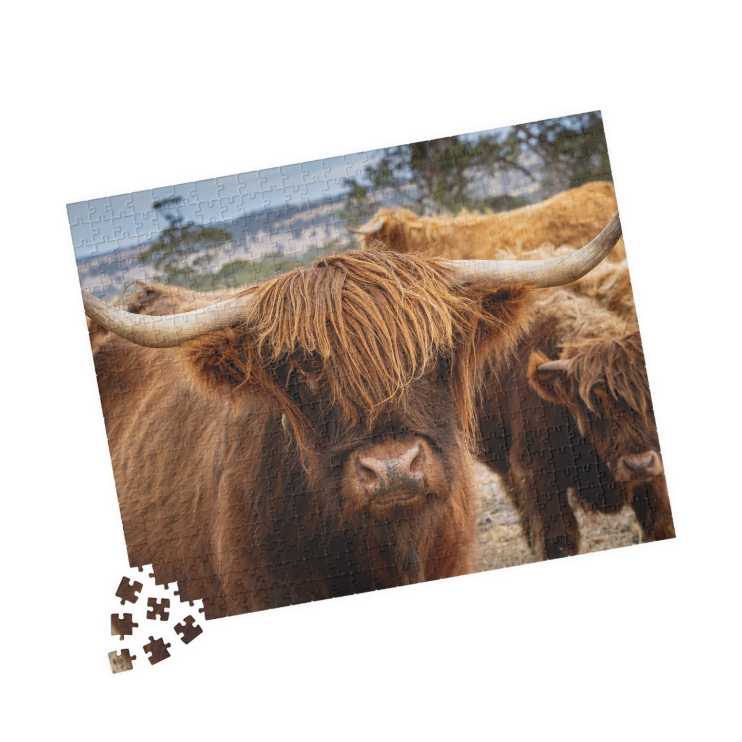 Scottish Highland Cattle Puzzle