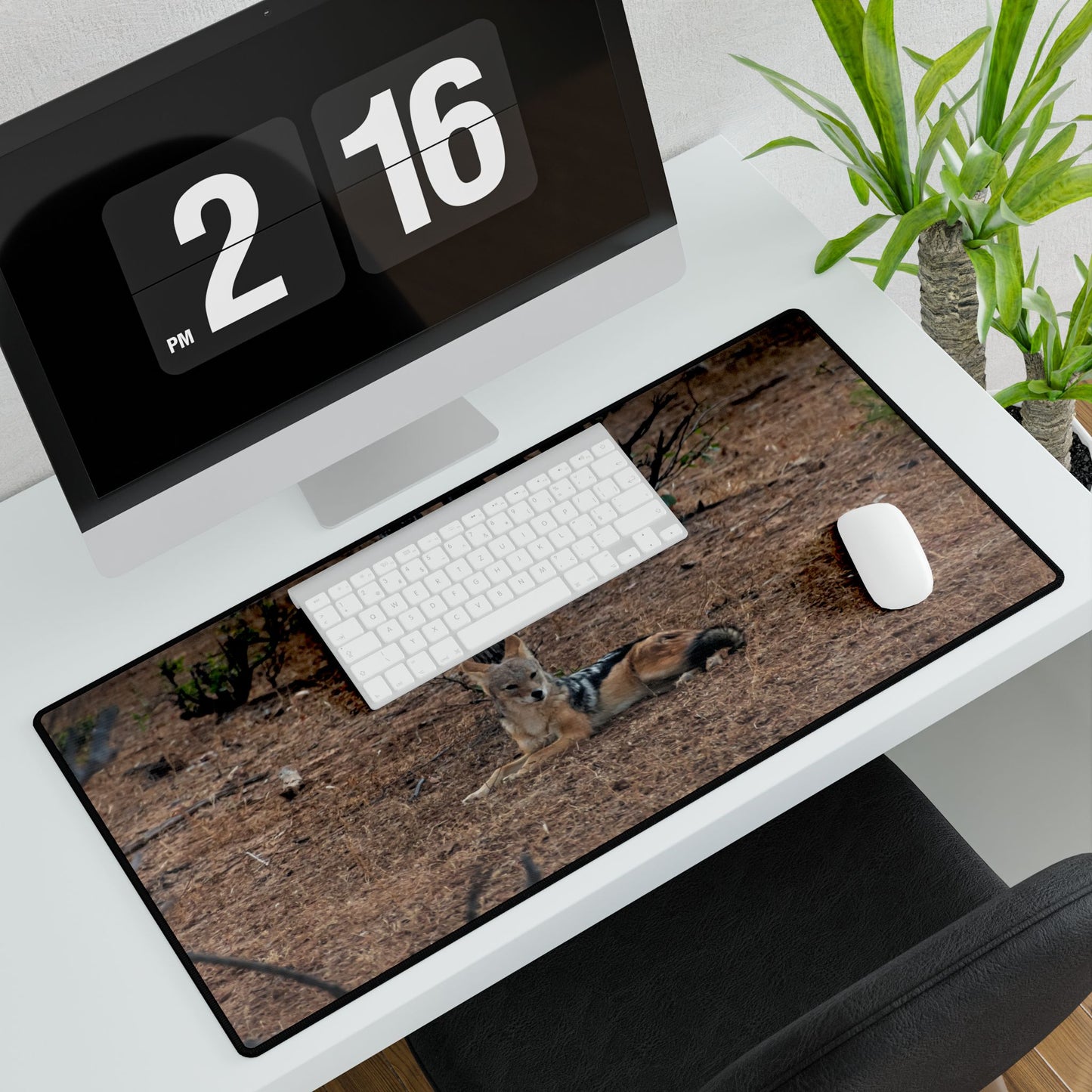 Black-Backed Jackal Desk Mat