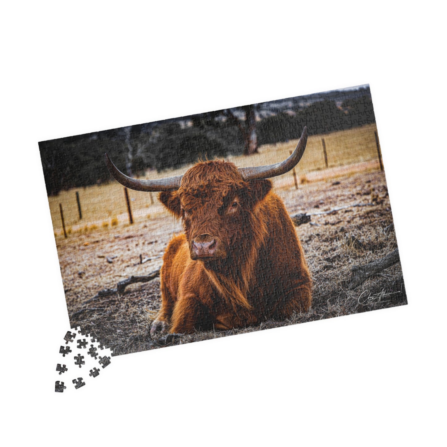Scottish Highland Cattle Puzzle 1014 pcs (Horizontal)
