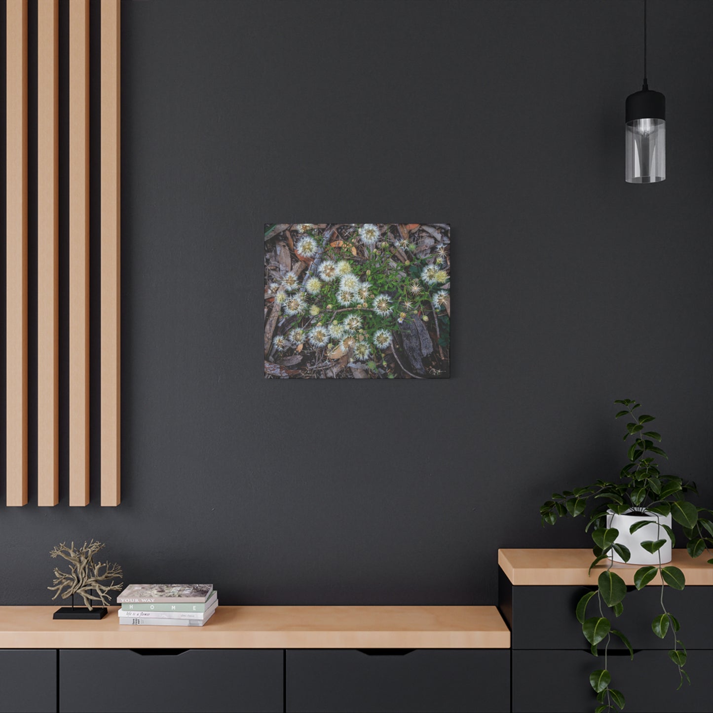 Matte Canvas, Stretched, 1.25" - Australian Wildflowers