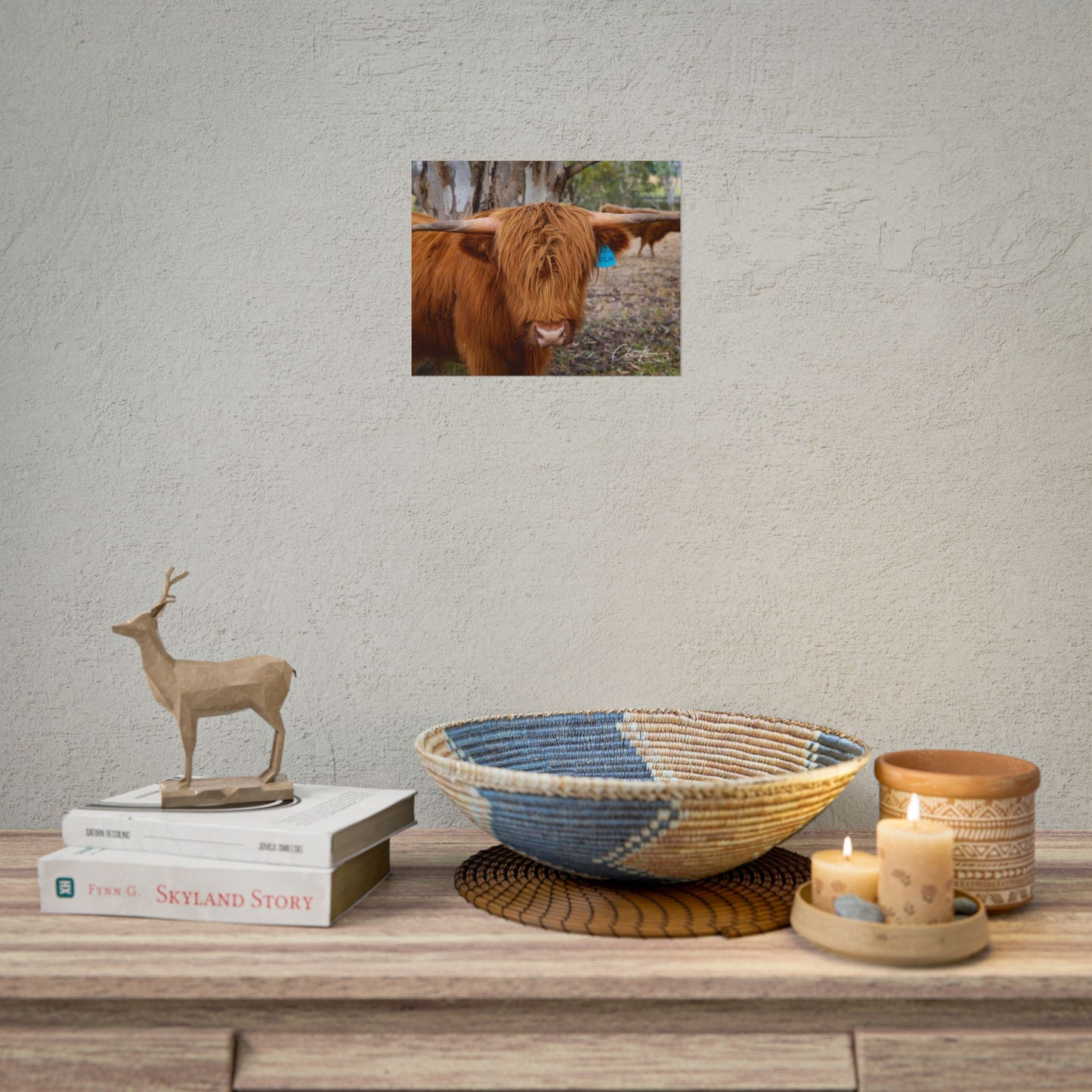 Rolled Posters - Scottish Highland Cattle 10″ x 8″ (Horizontal) Matte
