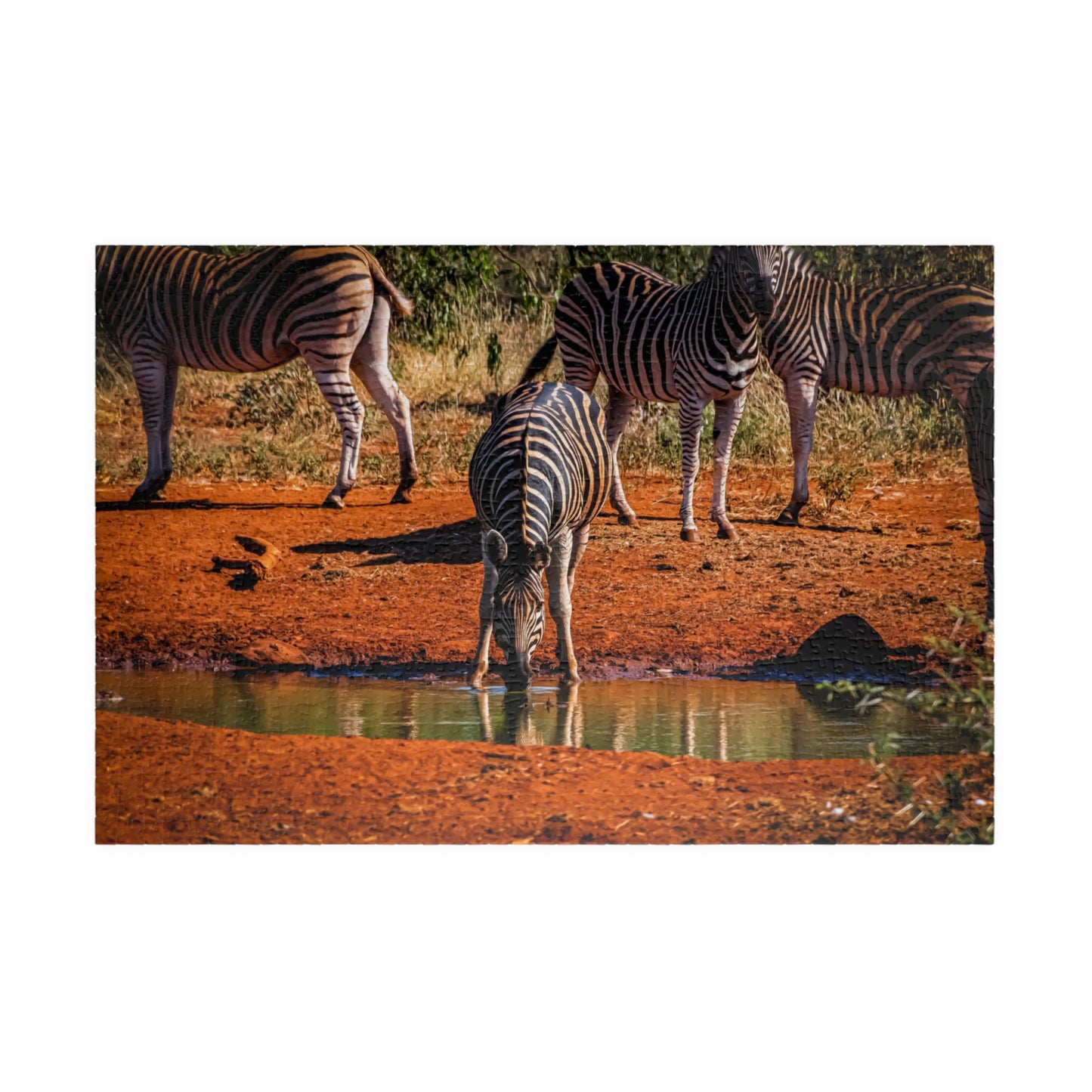 African Zebra Jigsaw Puzzle