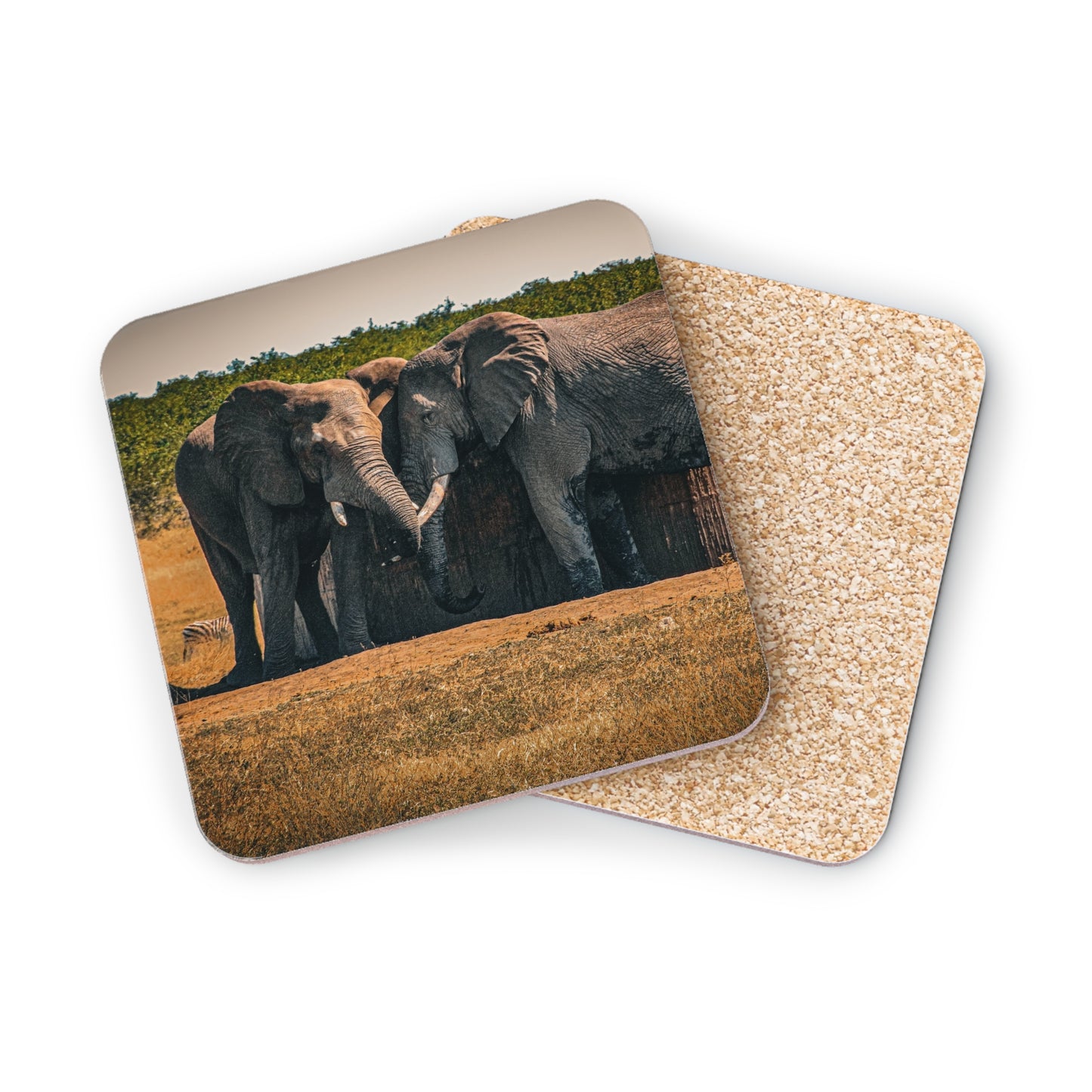 Friendly Elephants Coaster