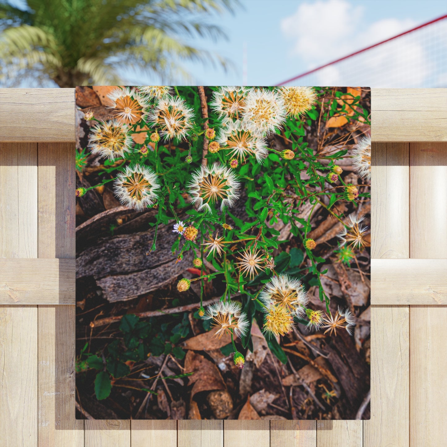 Australian Wildflower Beach Towels