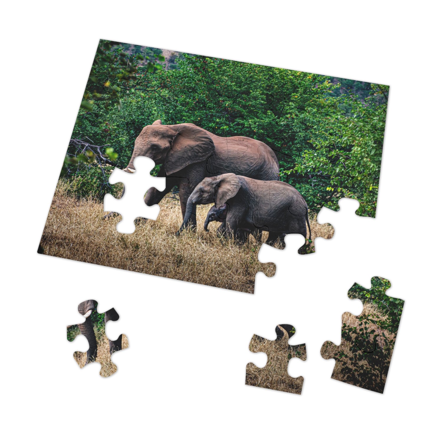 Jigsaw Puzzle (30, 110, 252, 500, 1000, 2000 Piece) - Elephant Family