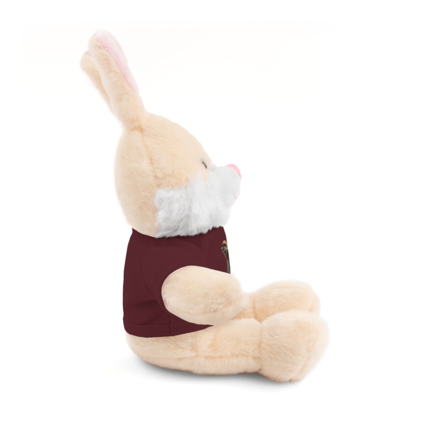 Teddy Bear with Tee