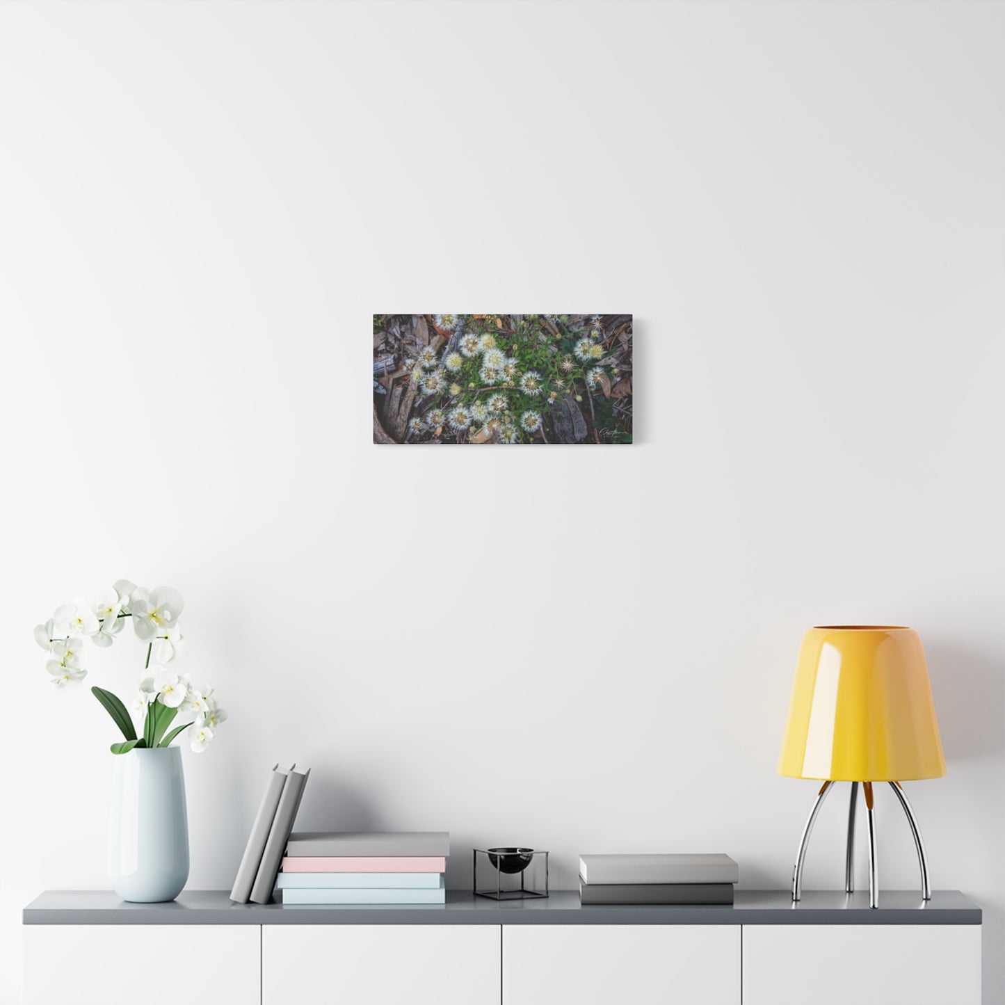 Matte Canvas, Stretched, 1.25" - Australian Wildflowers