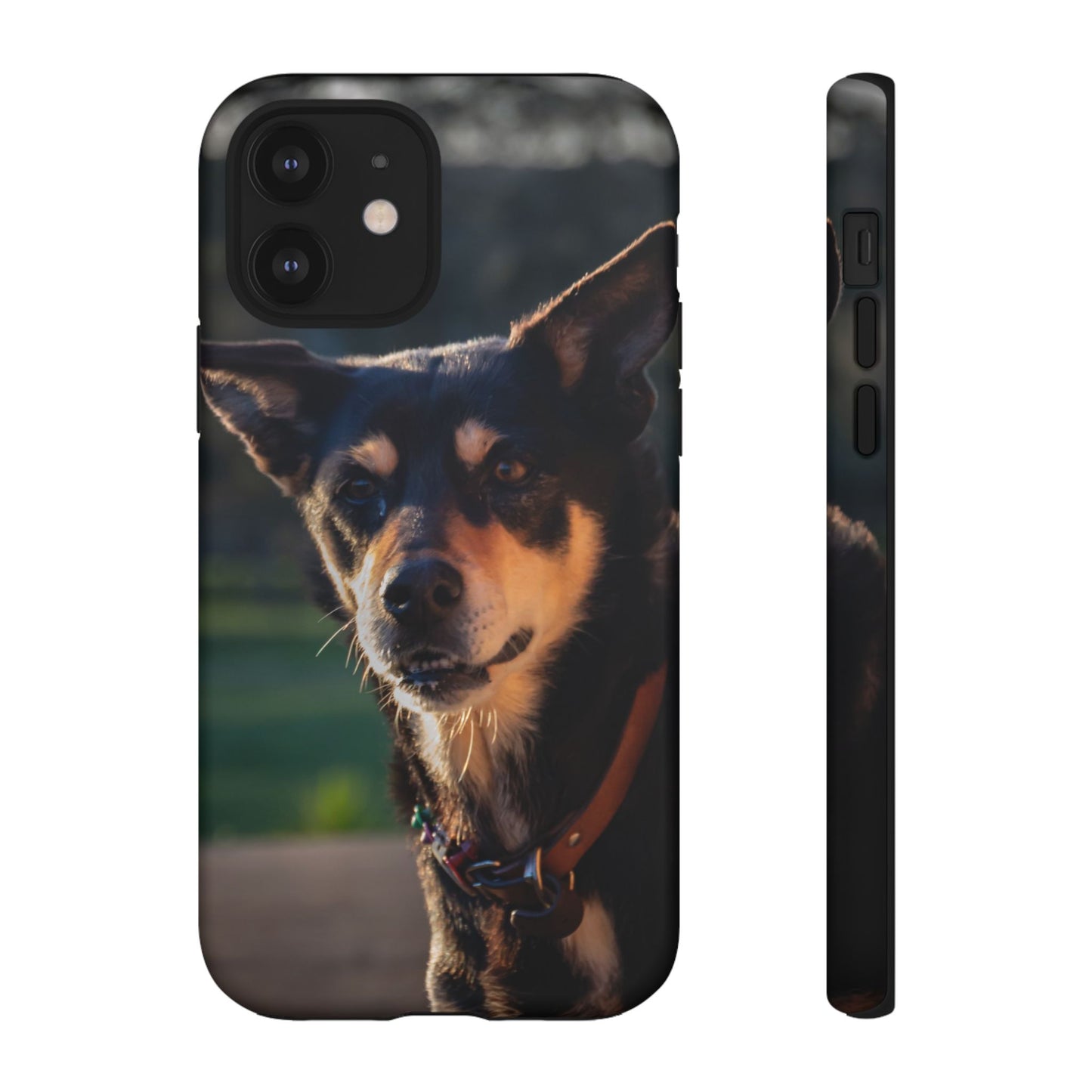 Tough Case - Saba the Kelpie iPhone 12 Matte