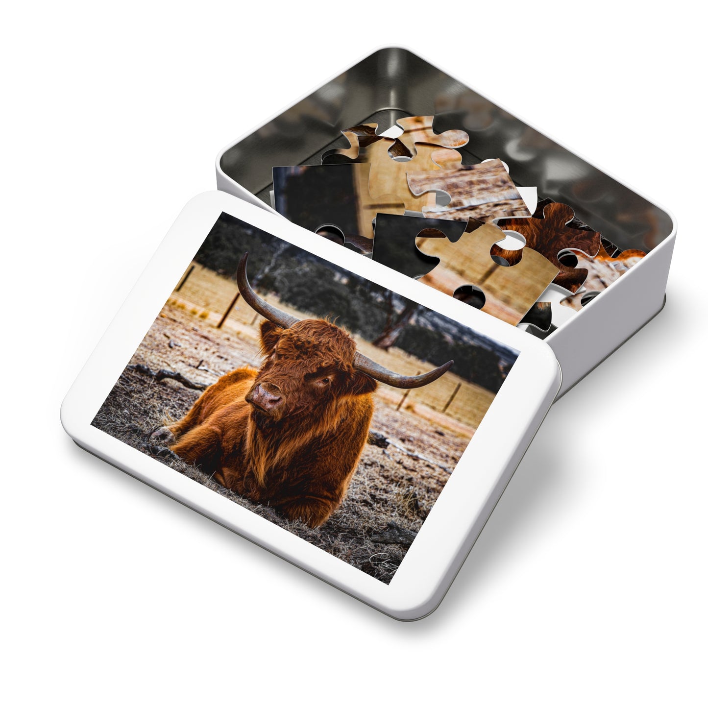 Scottish Highland Cattle Puzzle with Tin