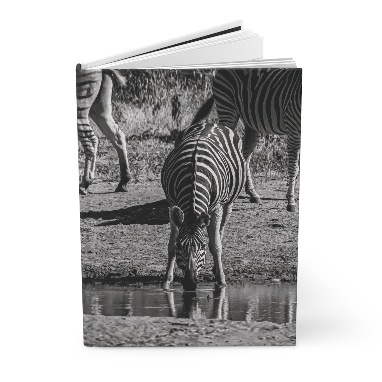 Hardcover Journal Matte - Zebra Drinking B&W