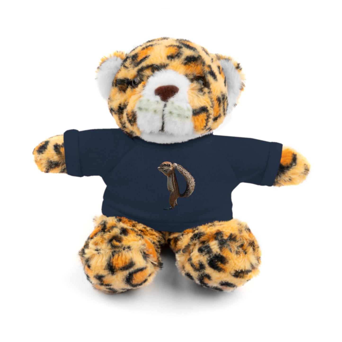 Teddy Bear with Tee
