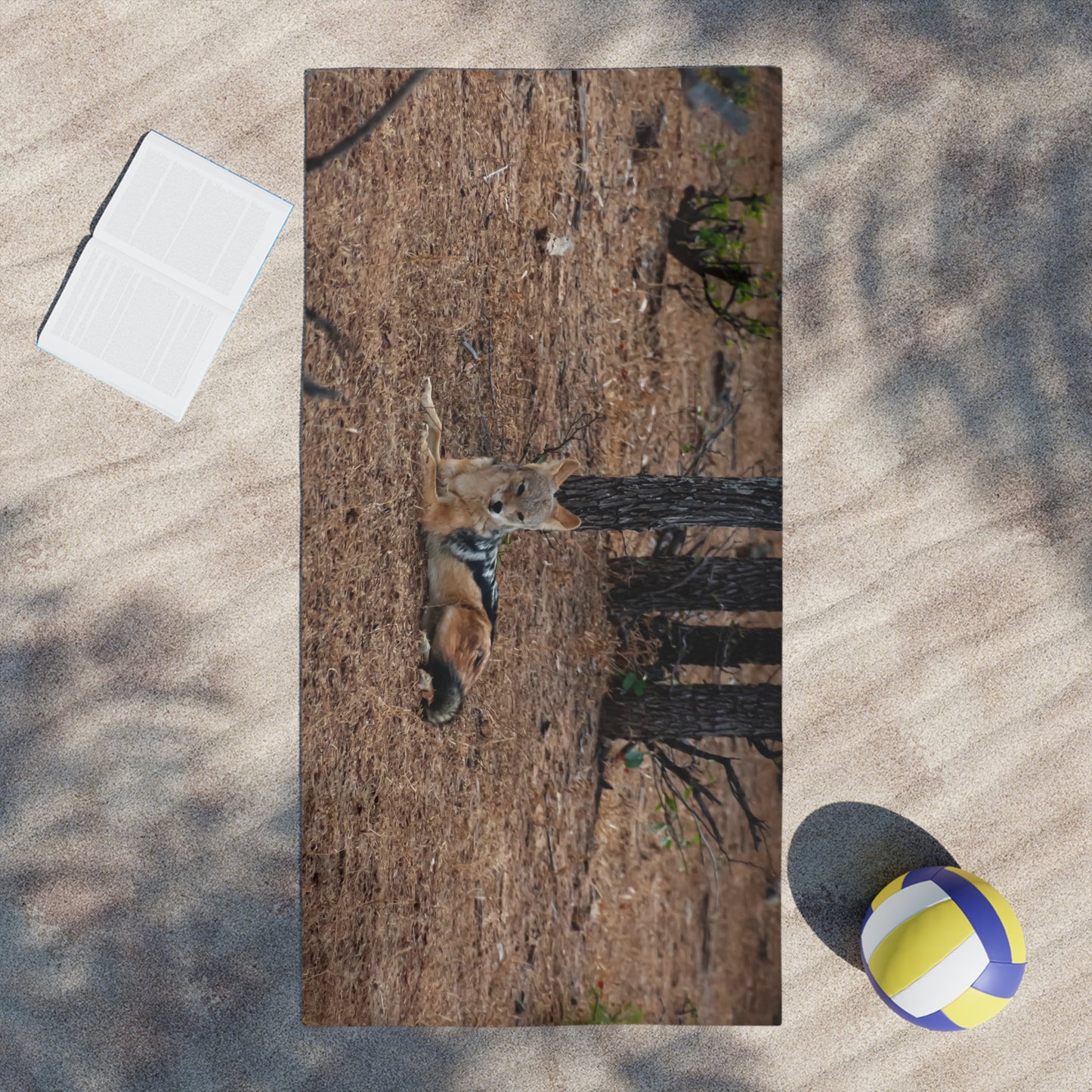 Black-Backed Jackal Beach Towels