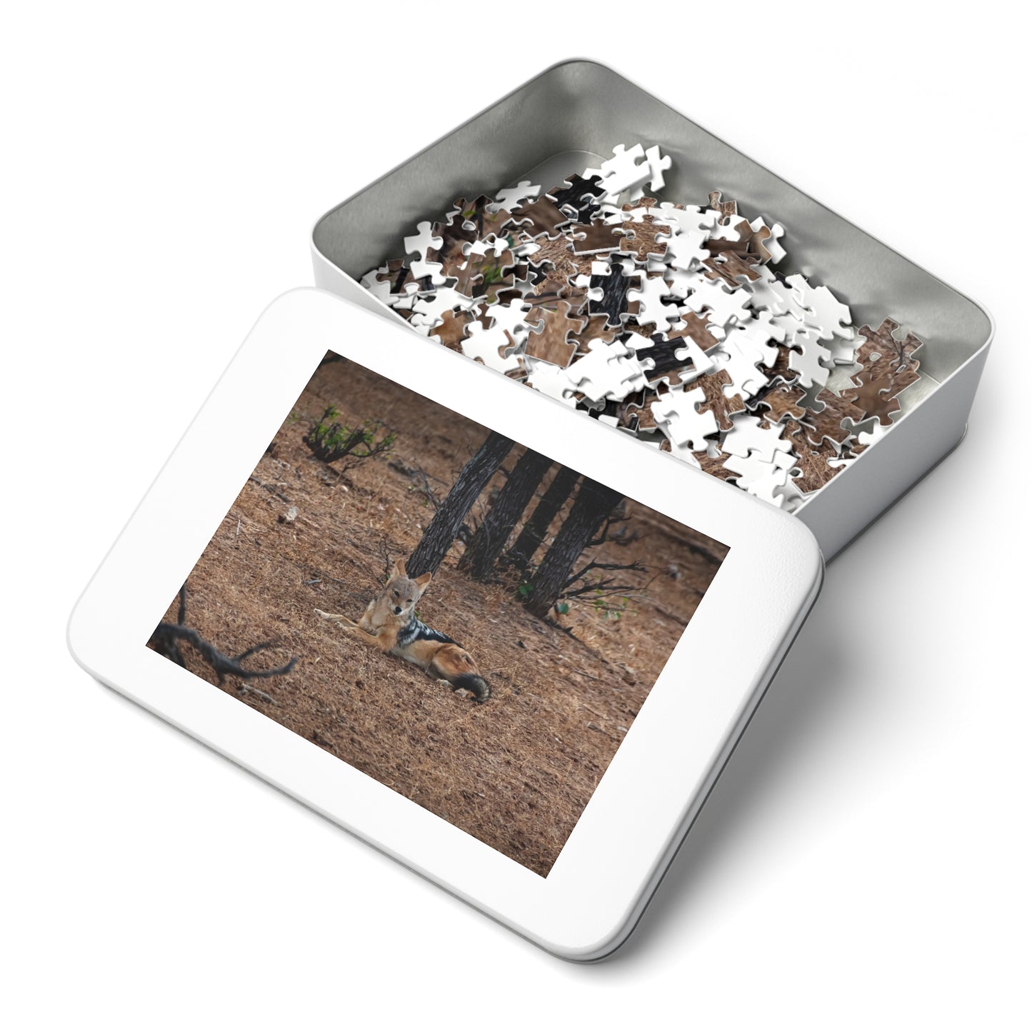Jackal Photo Jigsaw Puzzle with Tin