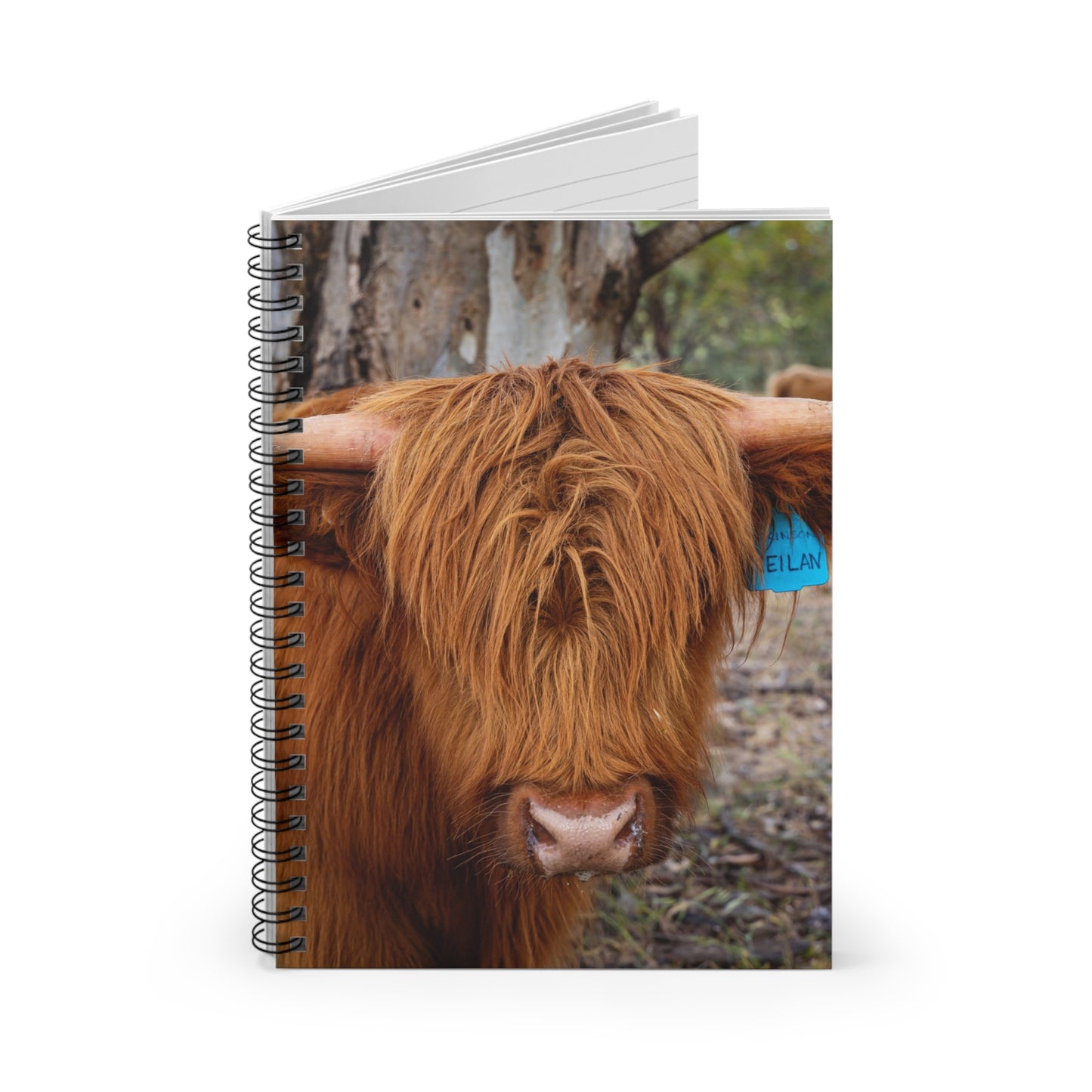 Spiral Notebook - Ruled Line - Scottish Highland Cattle One Size