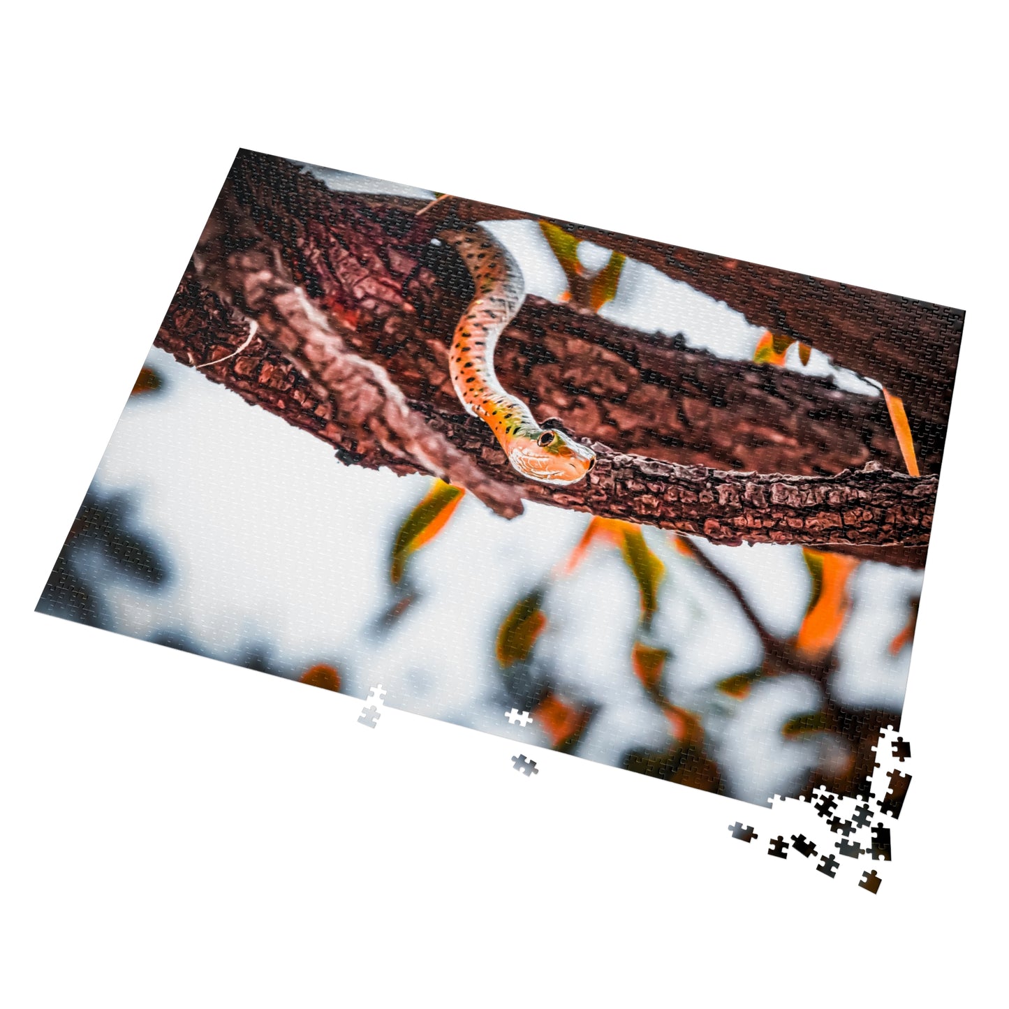 Spotted Bush Snake Puzzle with Tin